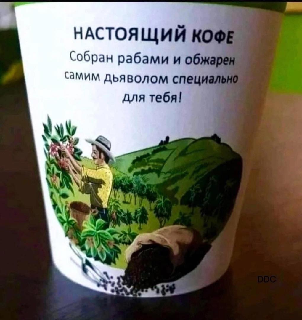 1740729683-7a24e71e329bea4a71430209a19be