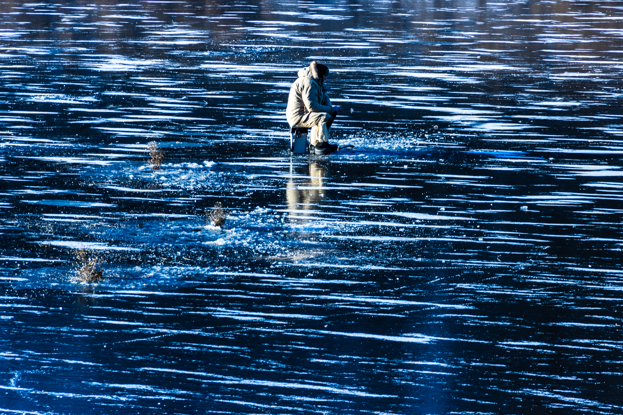 1669503803-7b6e9b25298dbe55cc33755e61f65