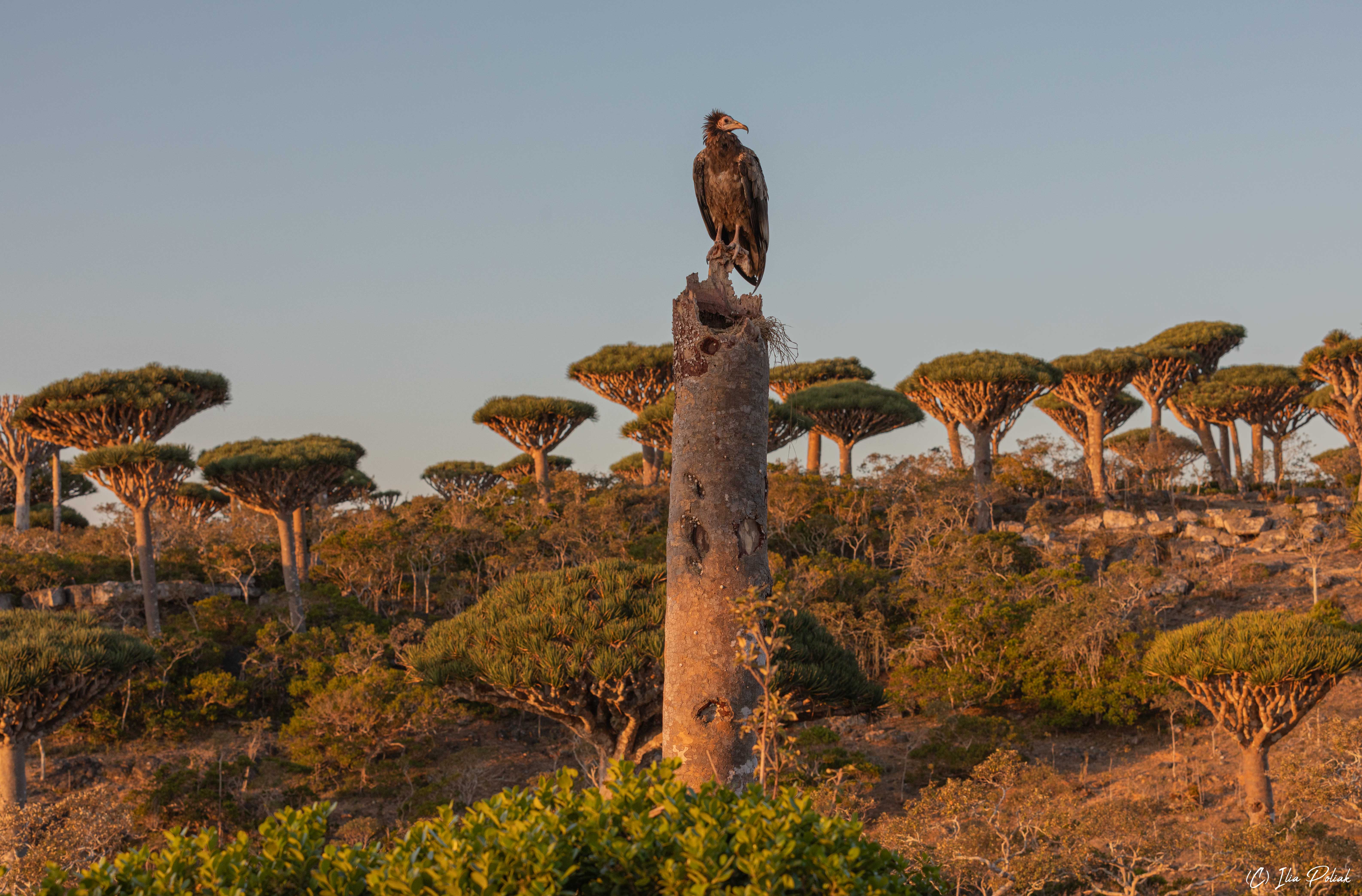 1754858358-7c5d5b5a5d93fad6d37a66243002a