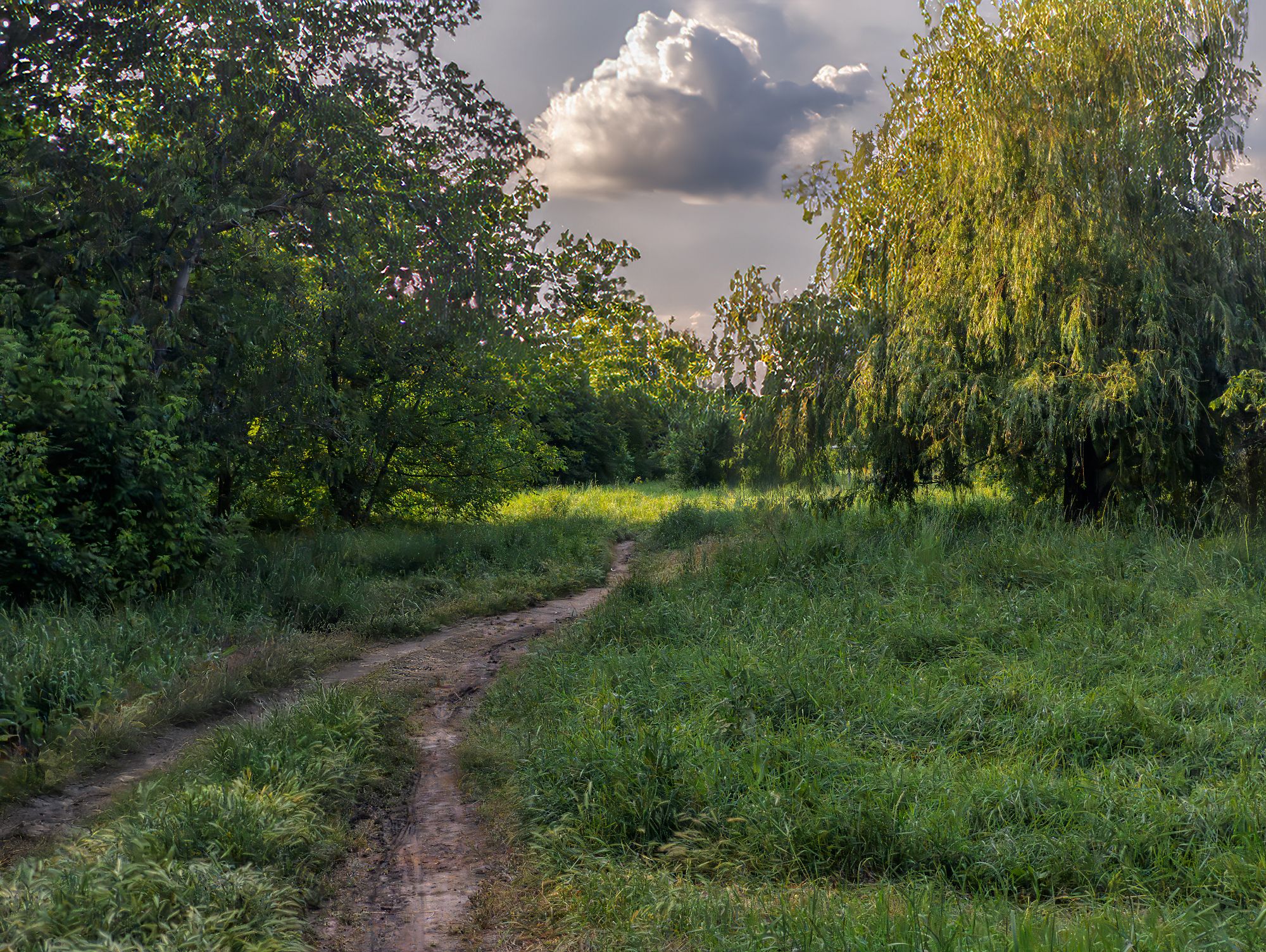 Вечер в августе
