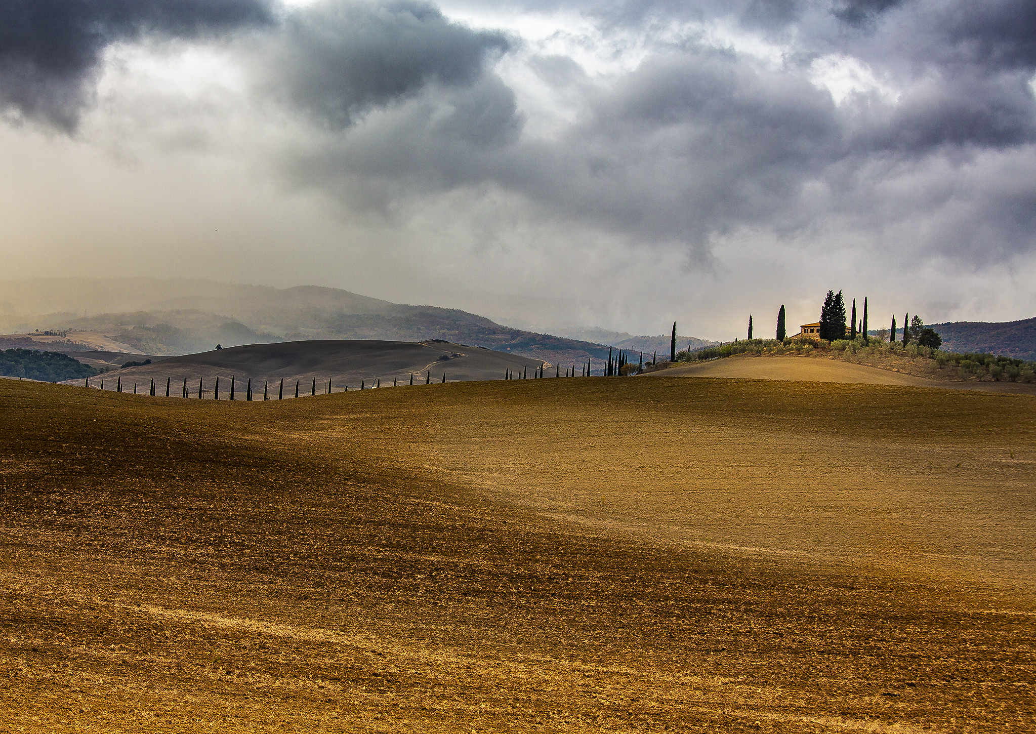 1639694200-7e9043598d2ff0d2bb83673049615