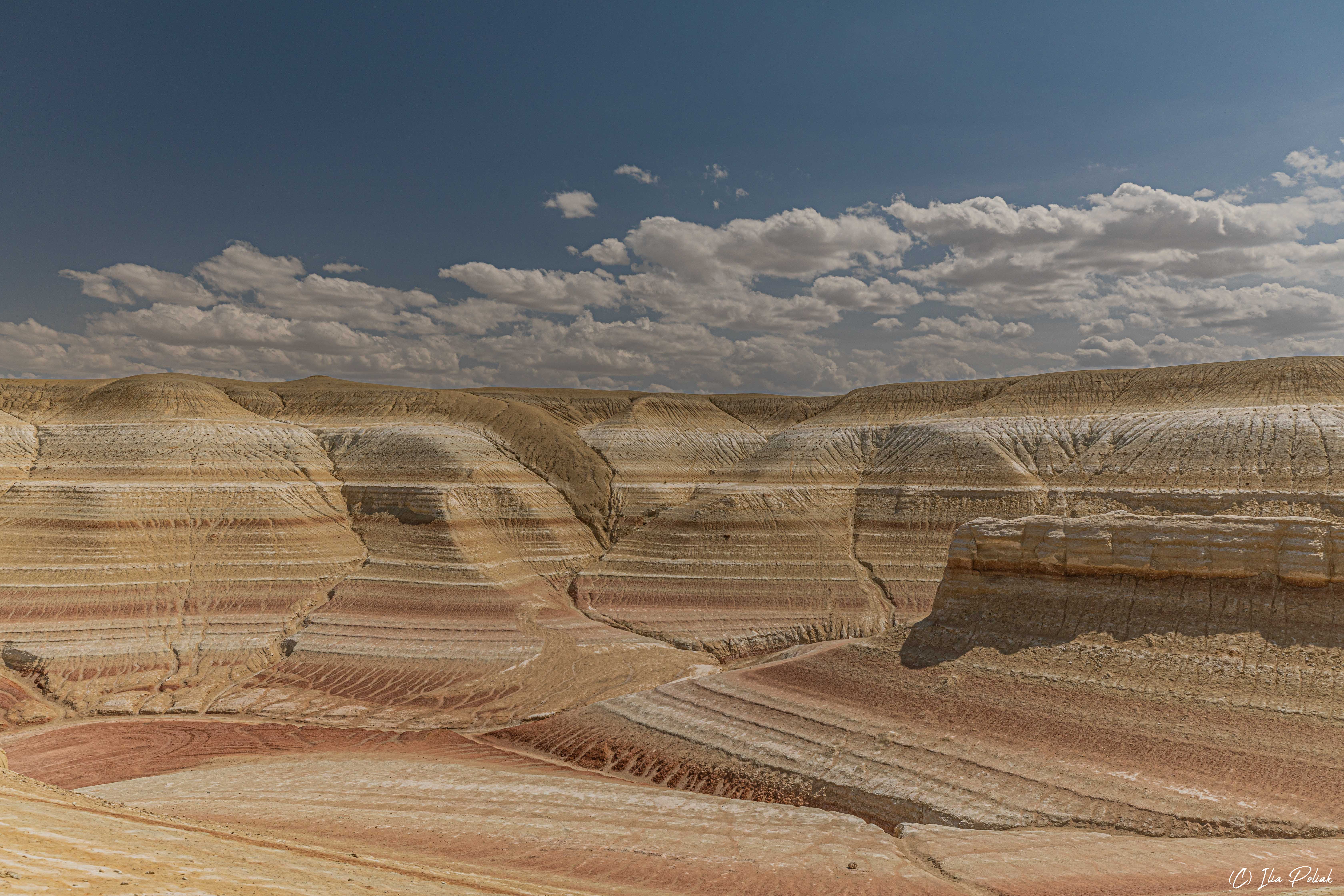 1665689557-7ebc79881838eccf29719729f063d