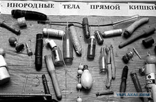 1504731692-7ee46736ad3ff4f6e3d0a90e98951