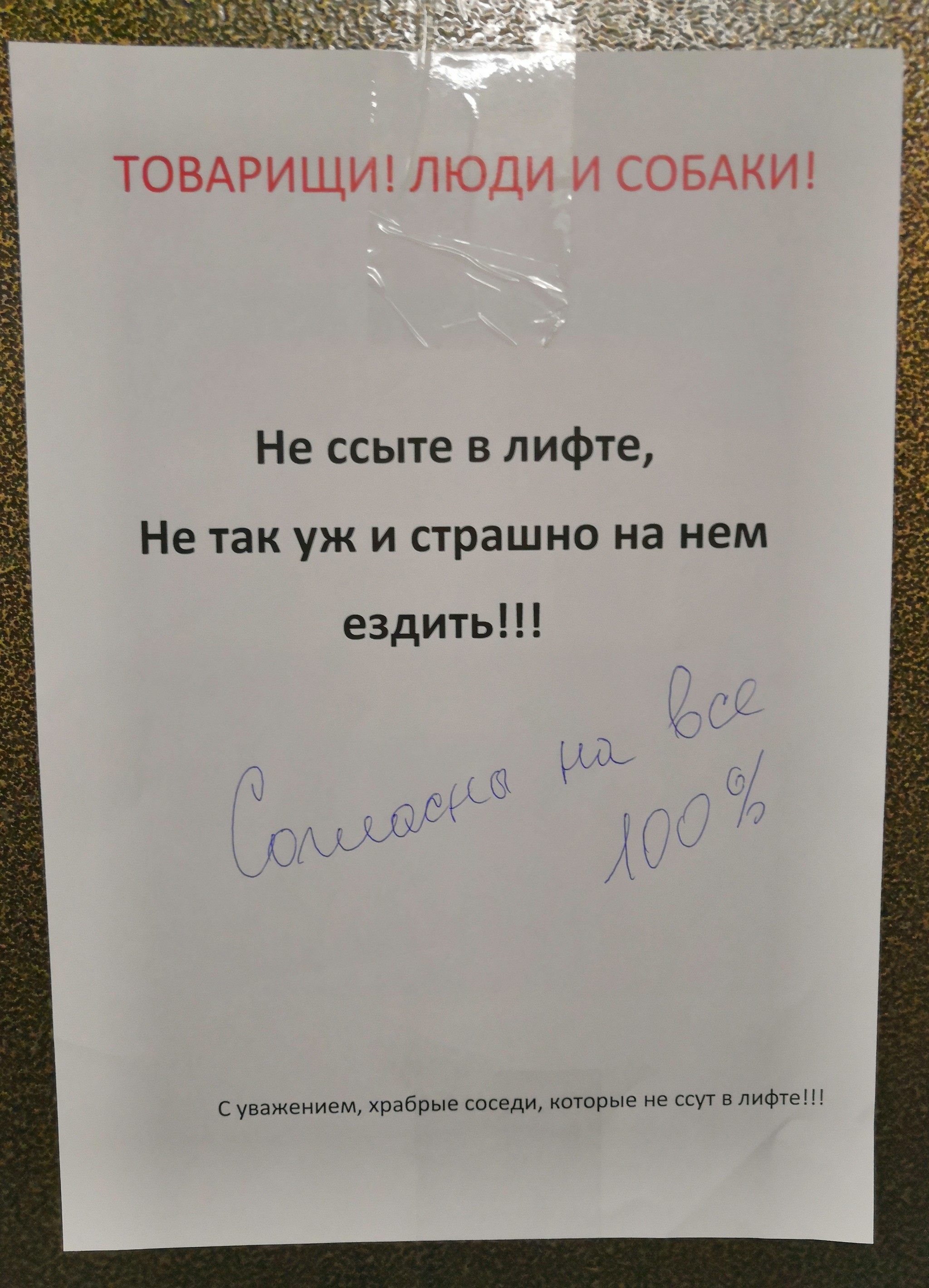 1573205596-8042f6b802116b2b535a625cc0bc5