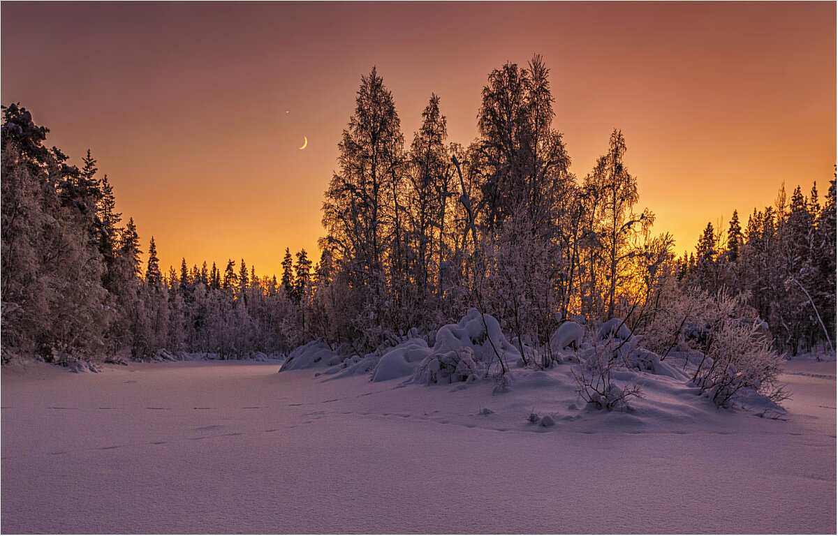 1639773017-81da1f151995ee4cd088994fccafc