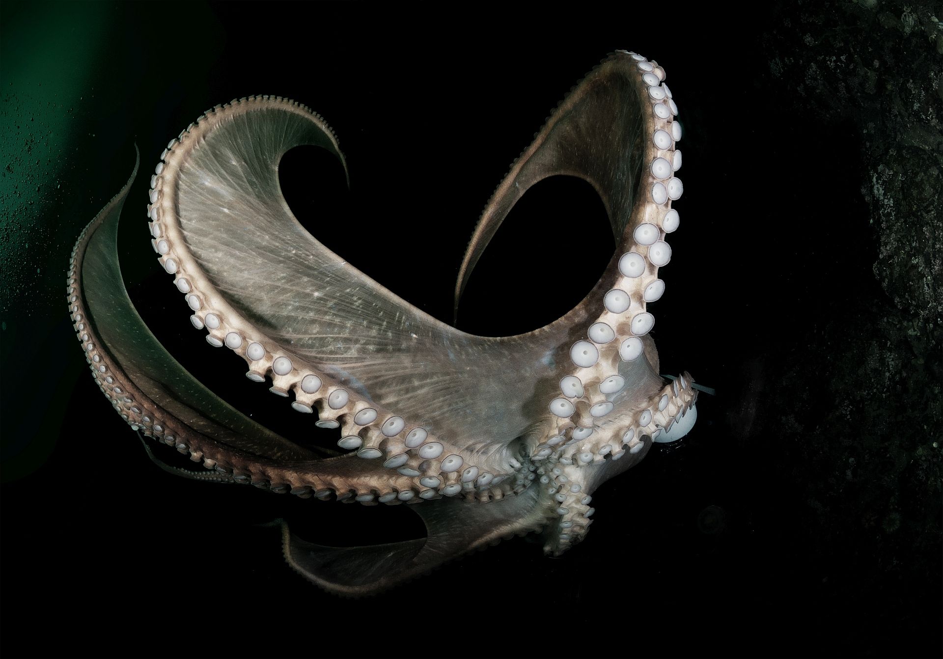 Там где темно, холодно и страшно