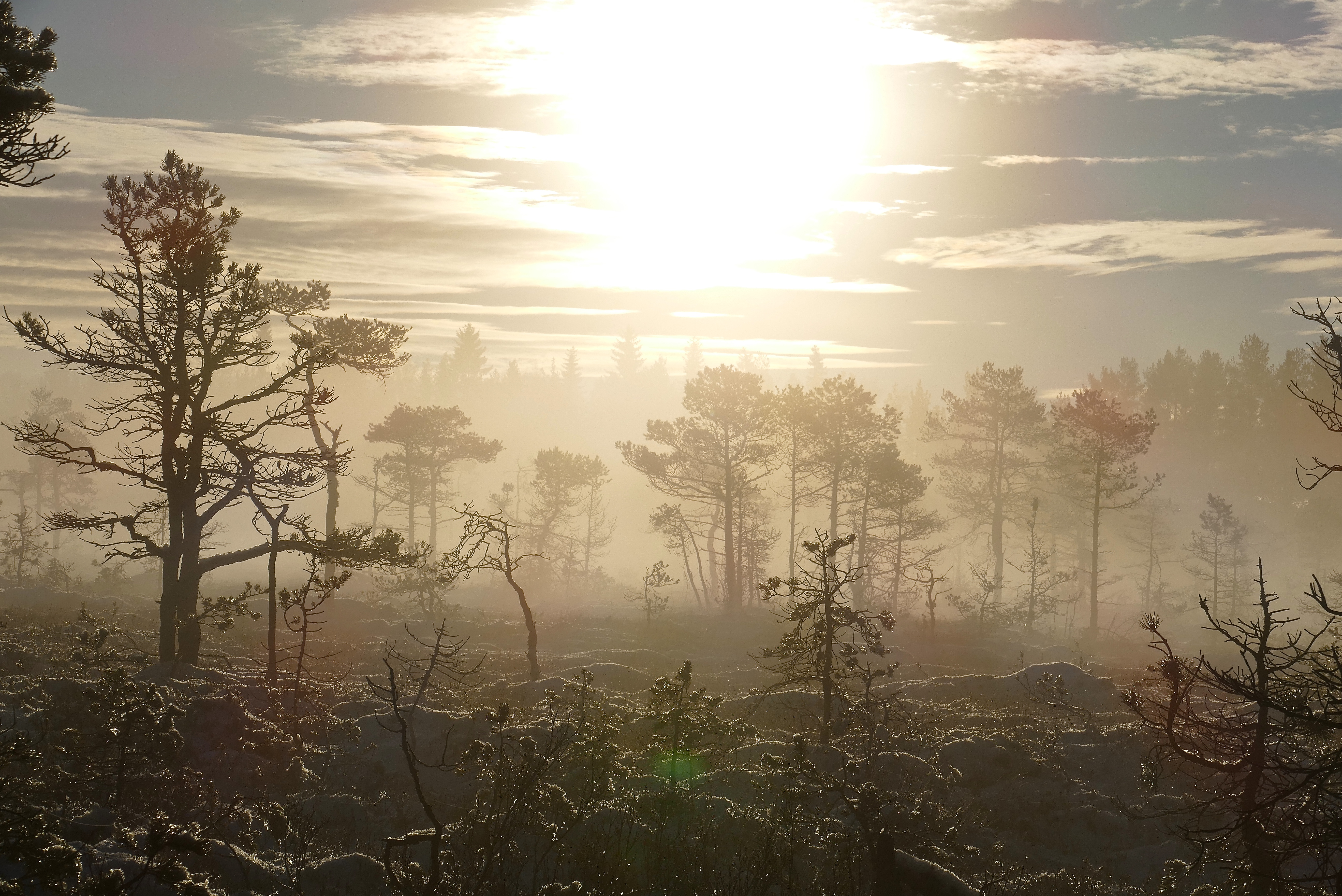 1639983882-850fd336d92ca05b34723a6012beb