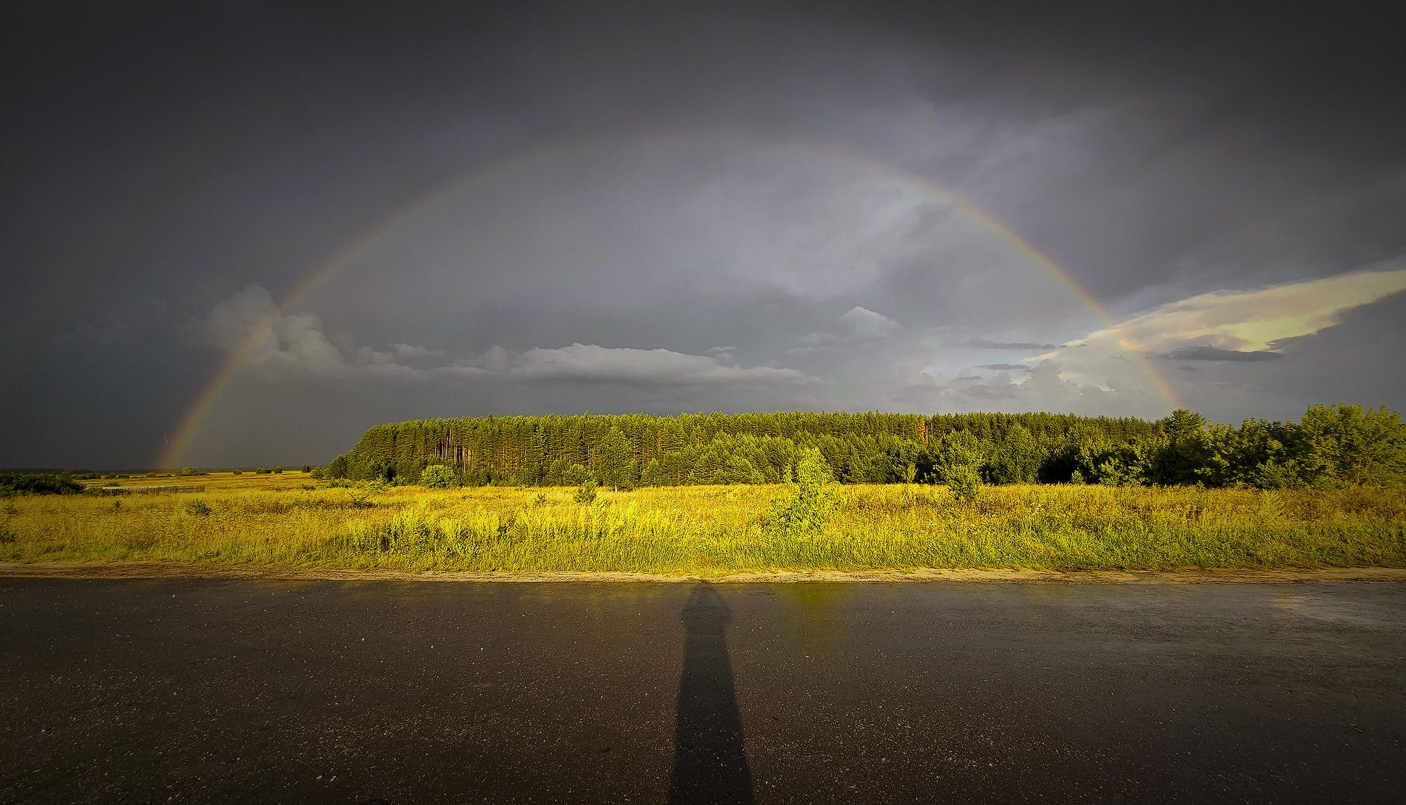 Автопортрет