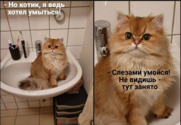 1573778634-8652c25dbdb50eb0753ab9ddd9991