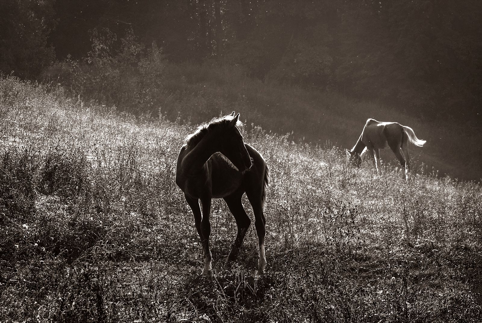 НА ПРОСТОРЕ
