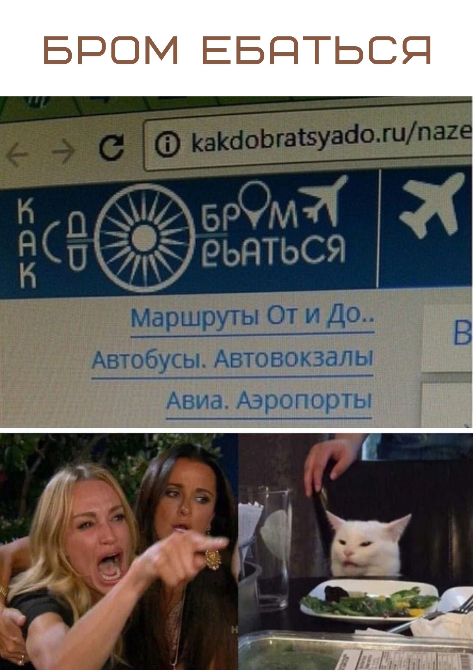 1625774167-8748dbd9e23b122d321008ba282ef