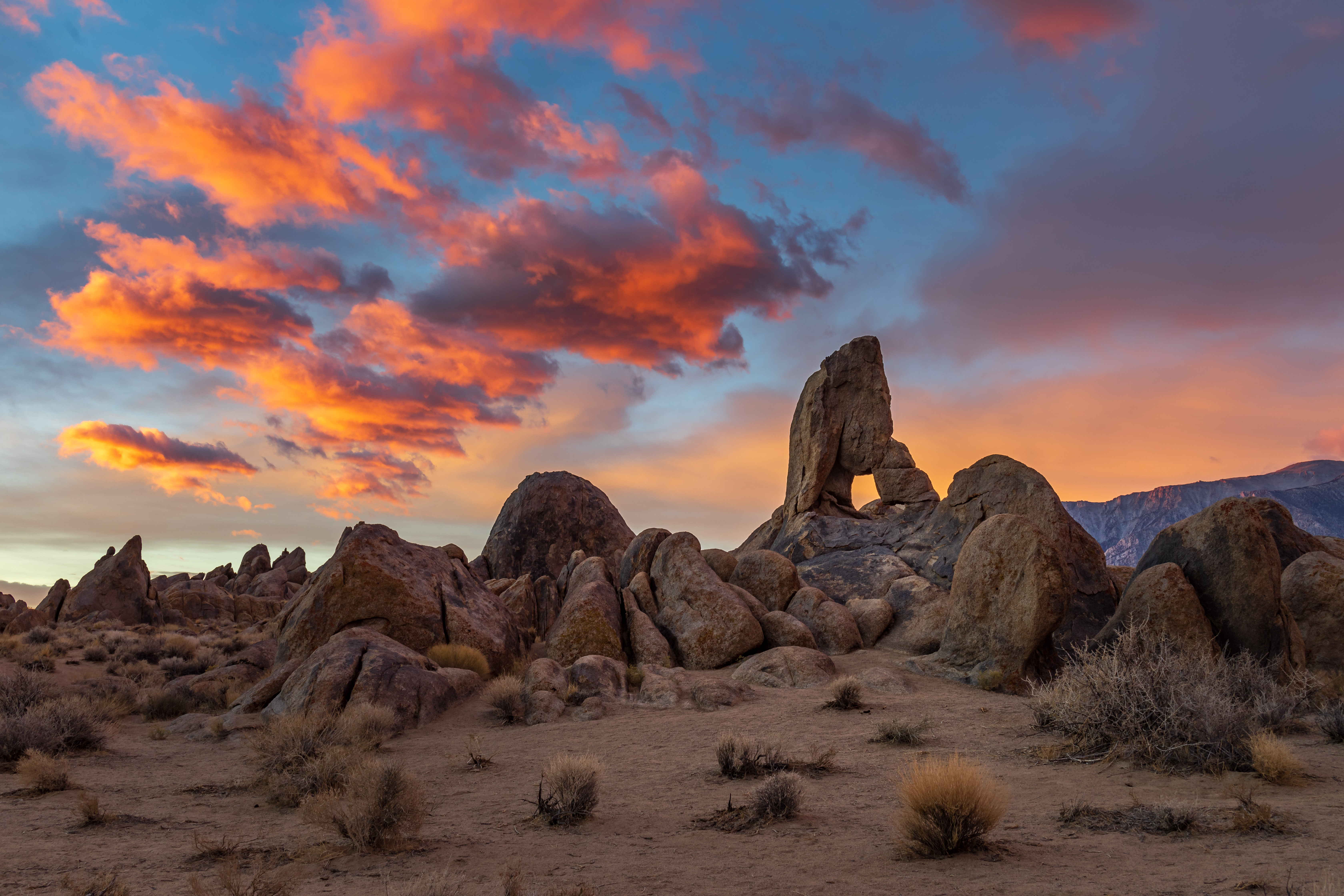 1636356127-87ad31252f87caff39aa9dbfd53ca