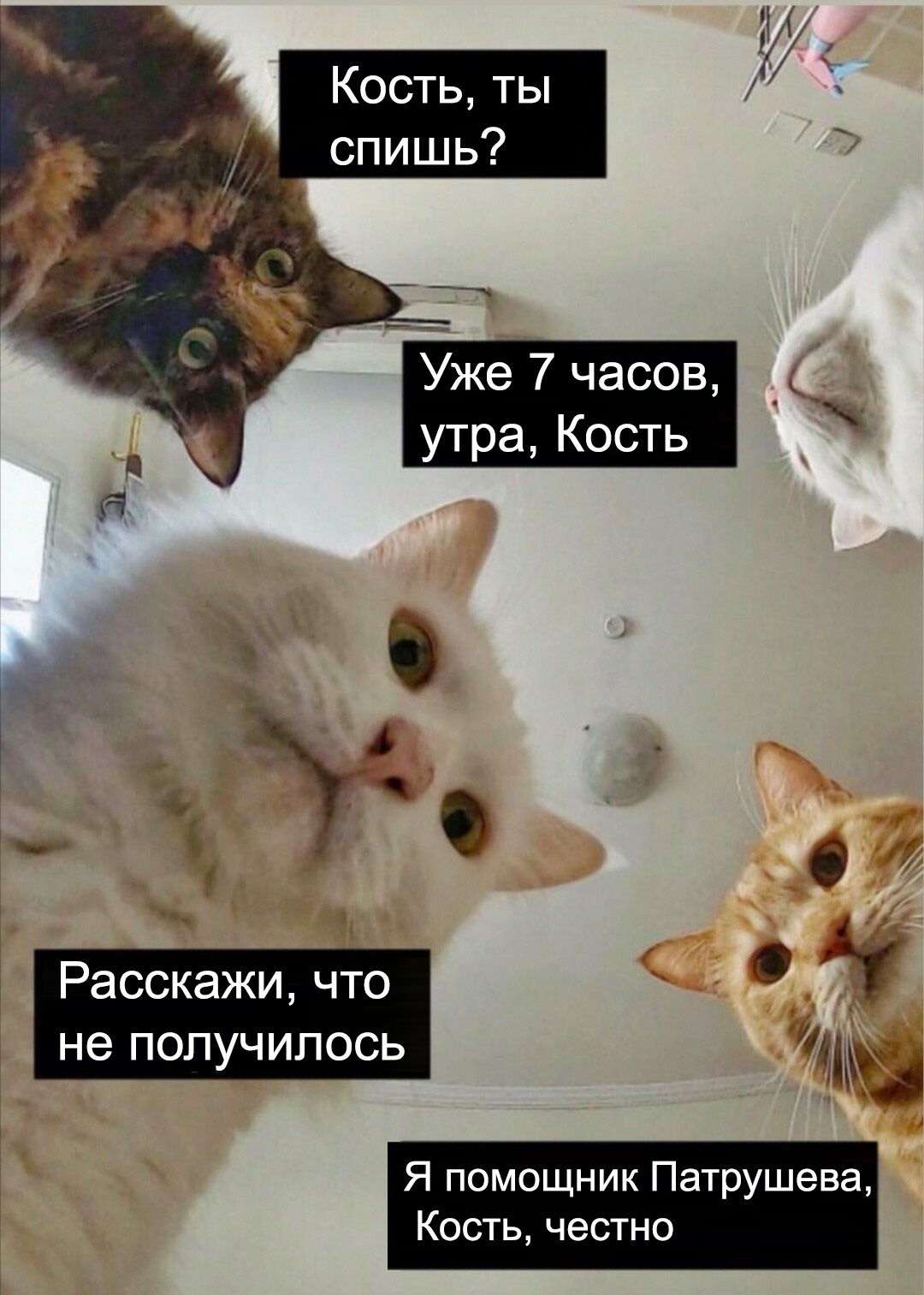 1608559380-8a1c5f0f142514f8e699abcc68d66