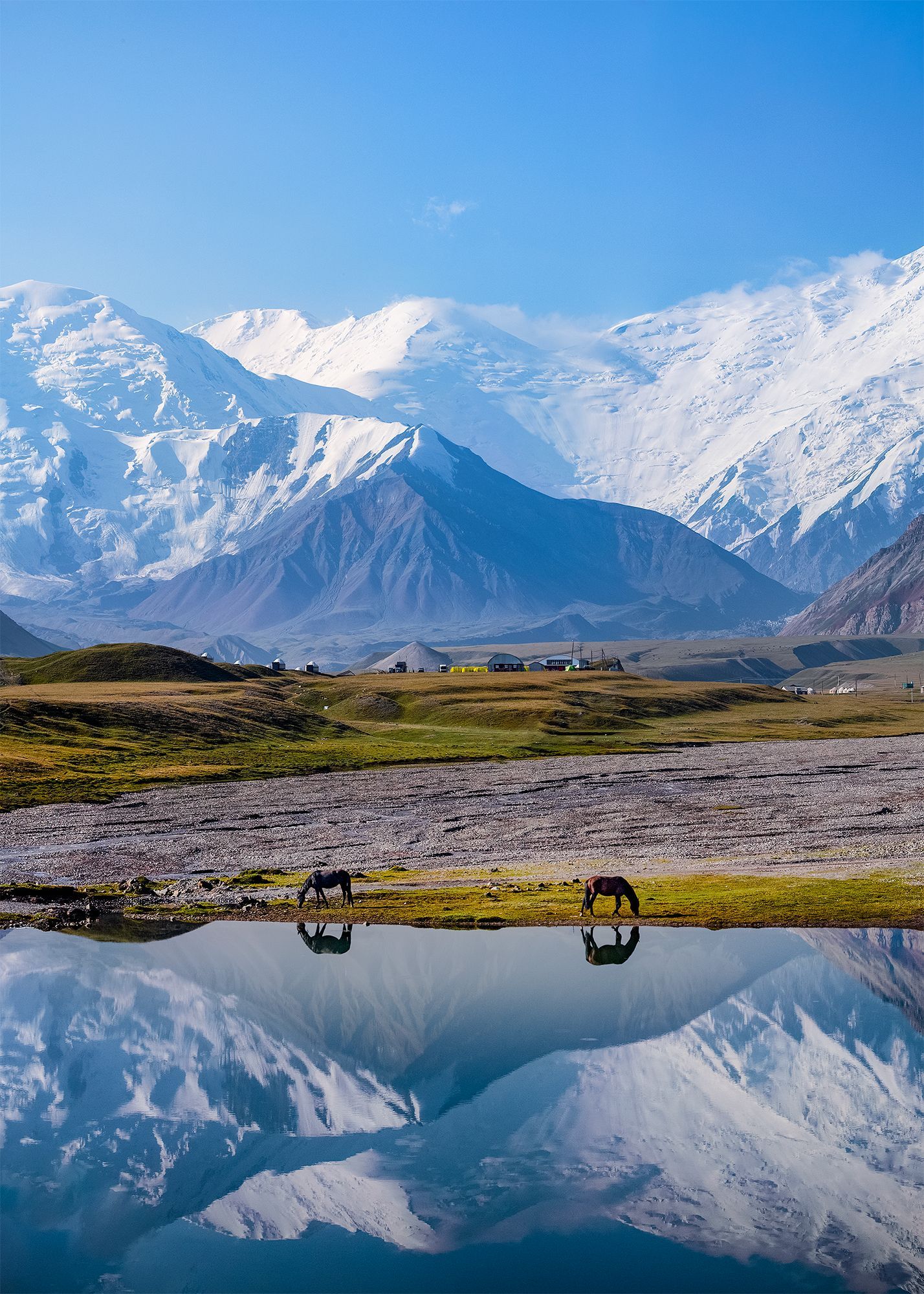 1767007699-8e8ba730f0bfd546b4106ee29356f