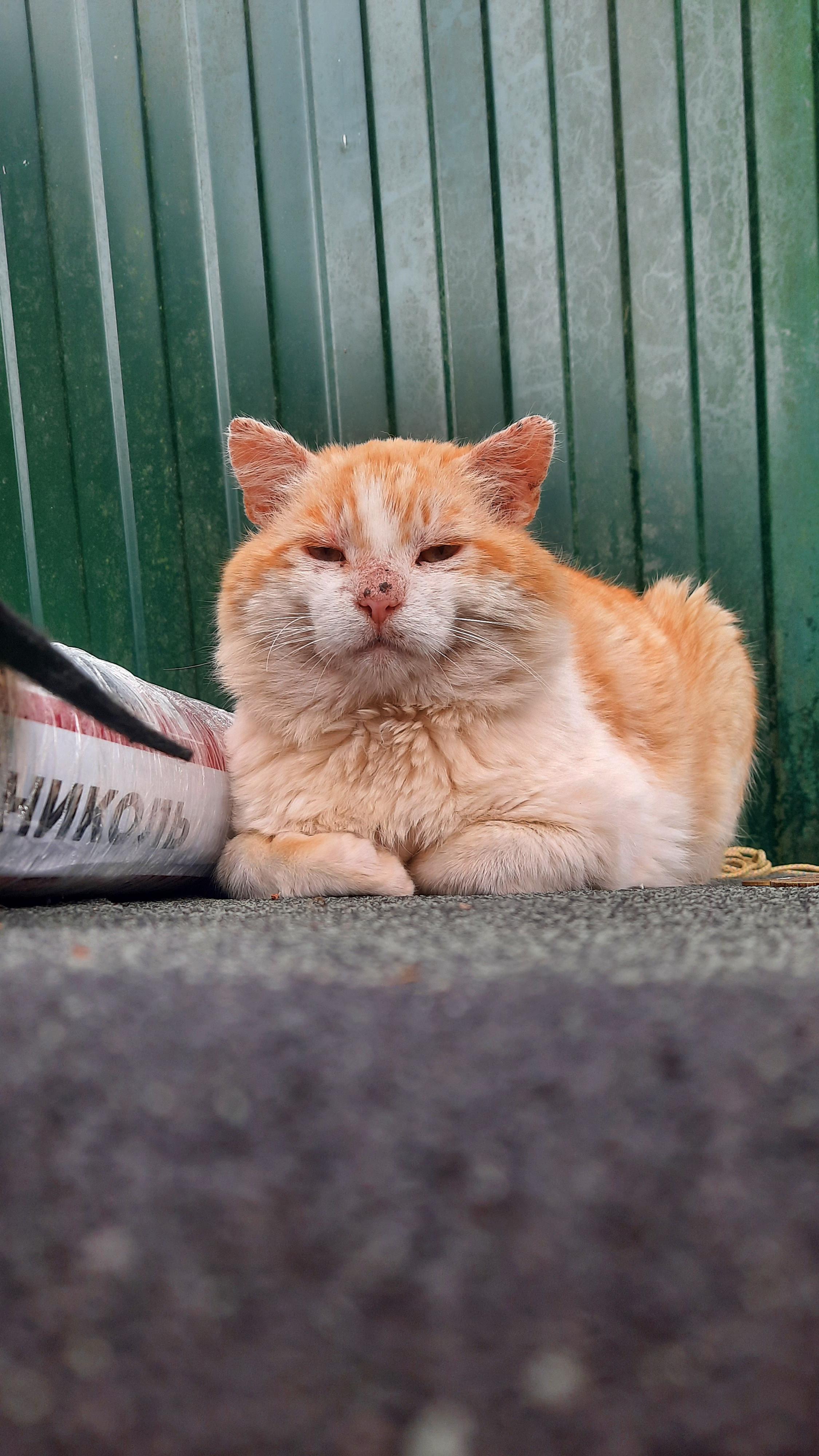 1752410091-90e4961585876260724b31075d8b5