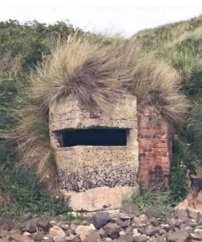 1662708127-90eecc66c6c52967e67a3d739dd71