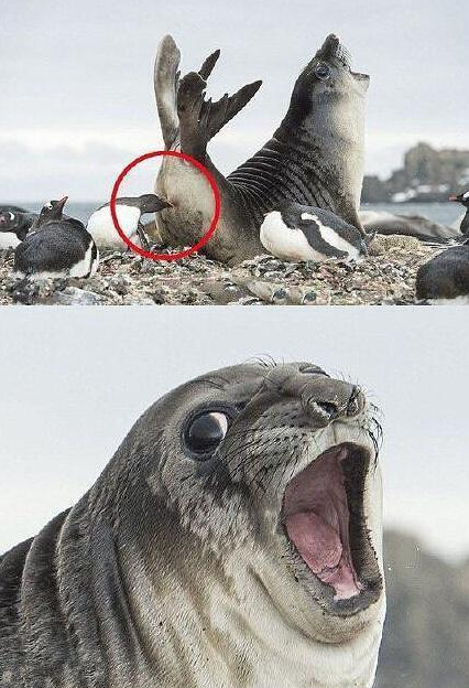 1546801727-91193487d4585171dea49f4b9e9fc