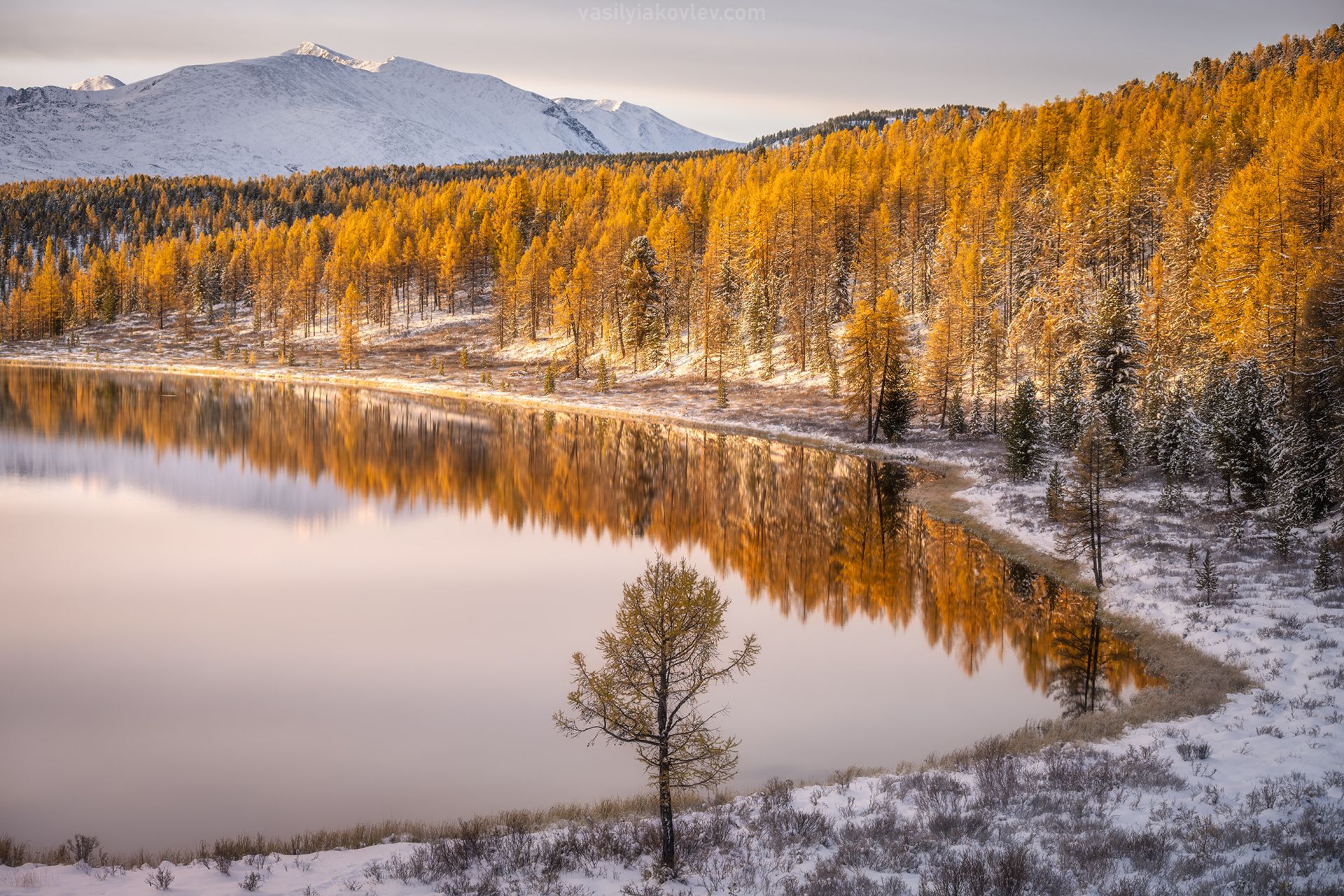 1765699002-926362381931063efe5c39f2e3f56