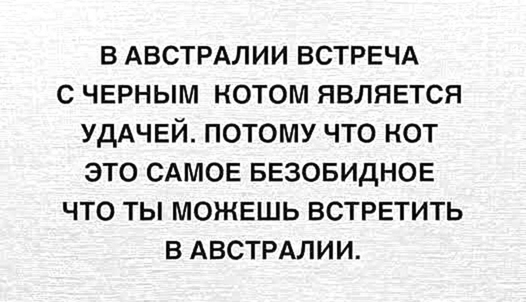 1761919478-93043b0e1634ed327495391bd1b07