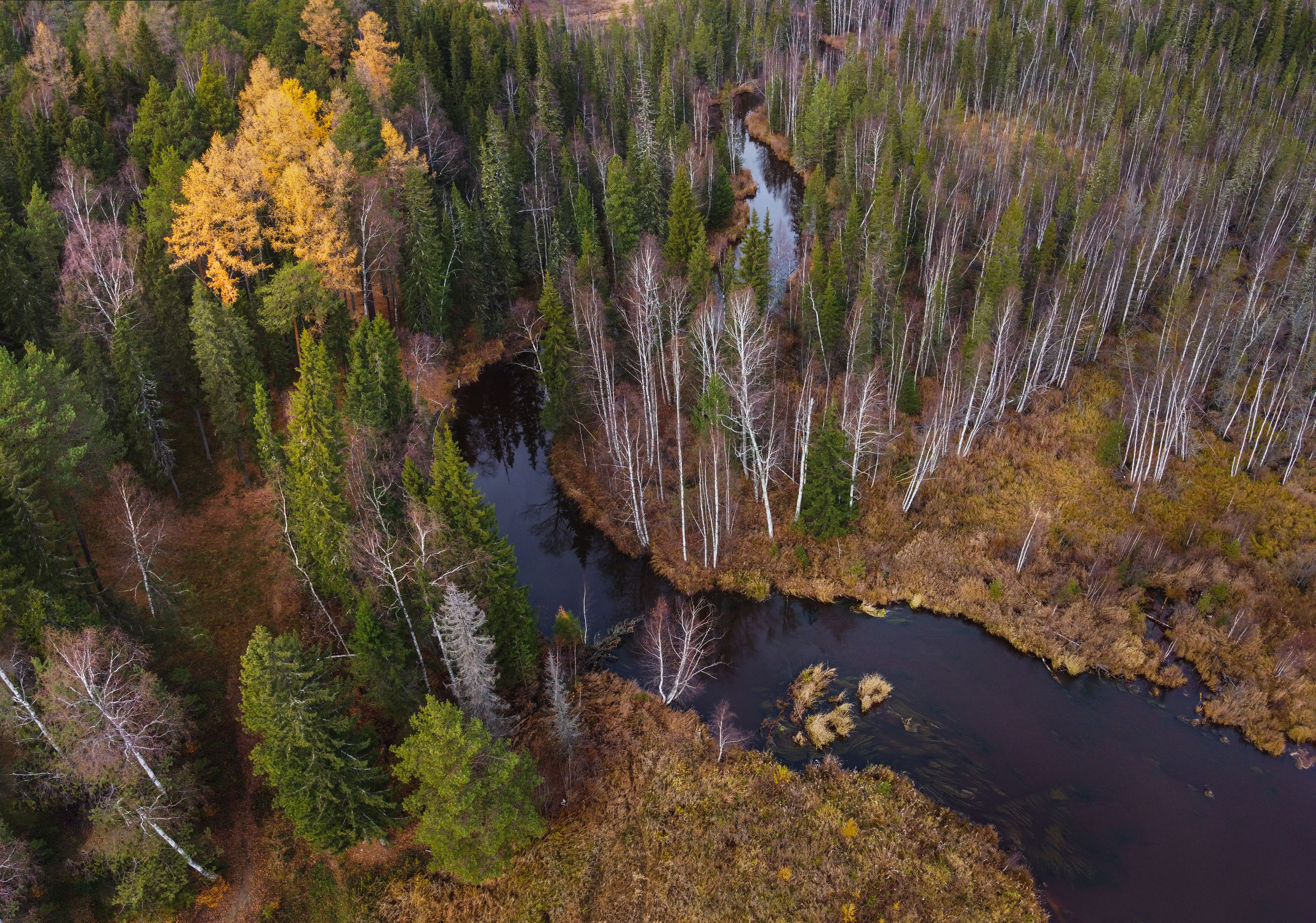 Поздняя осень