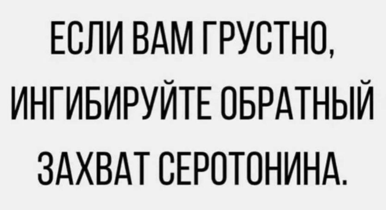 1687174132-959a1bdafa96c3fabb8c0a8ac01a0