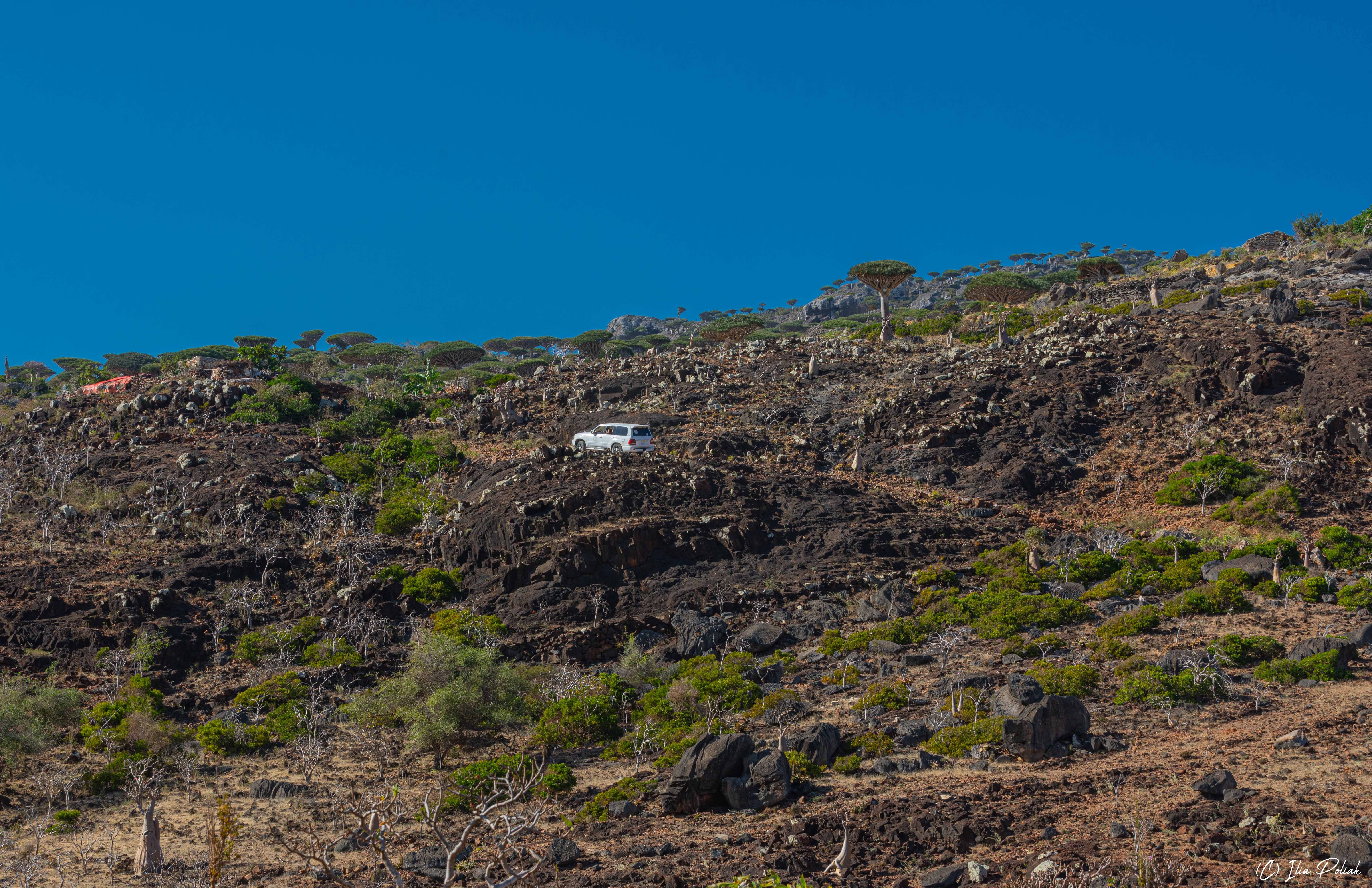 По горам, по горам белый Крузер едет к нам)