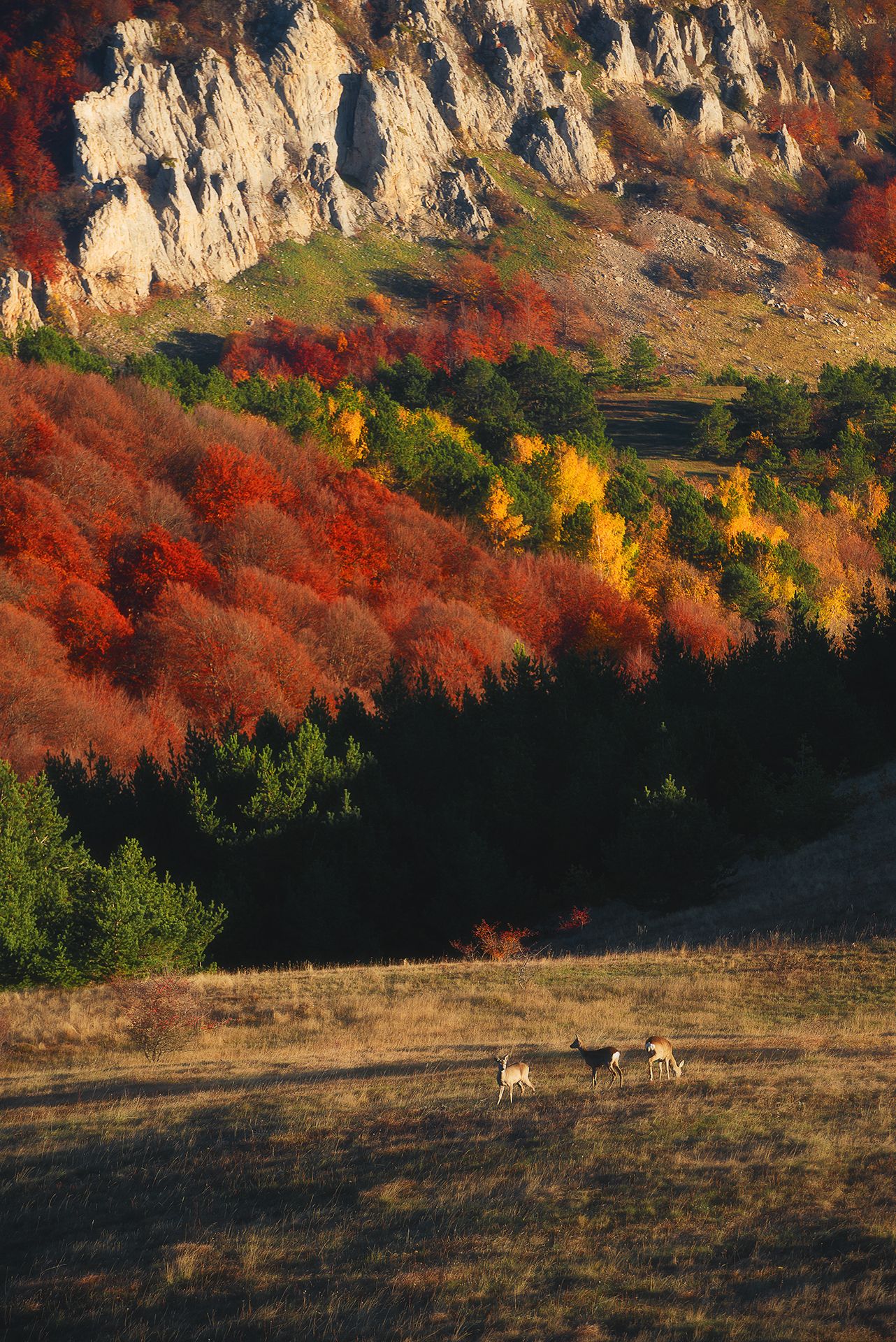 Осенние краски Демерджи