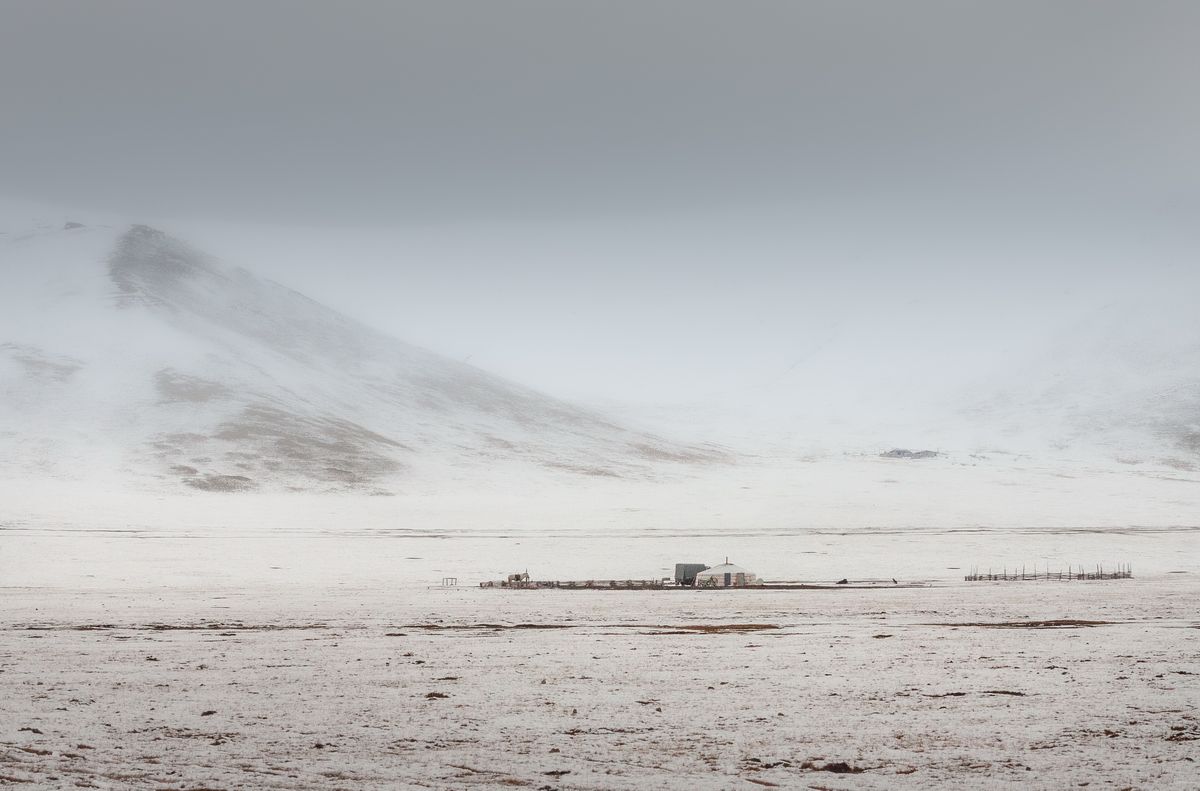 Из жизни кочевников