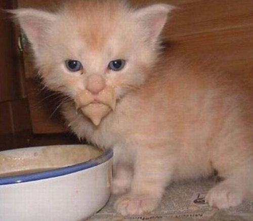 1519062367-9b0f8bd62ad0a585c075c45b81cc7