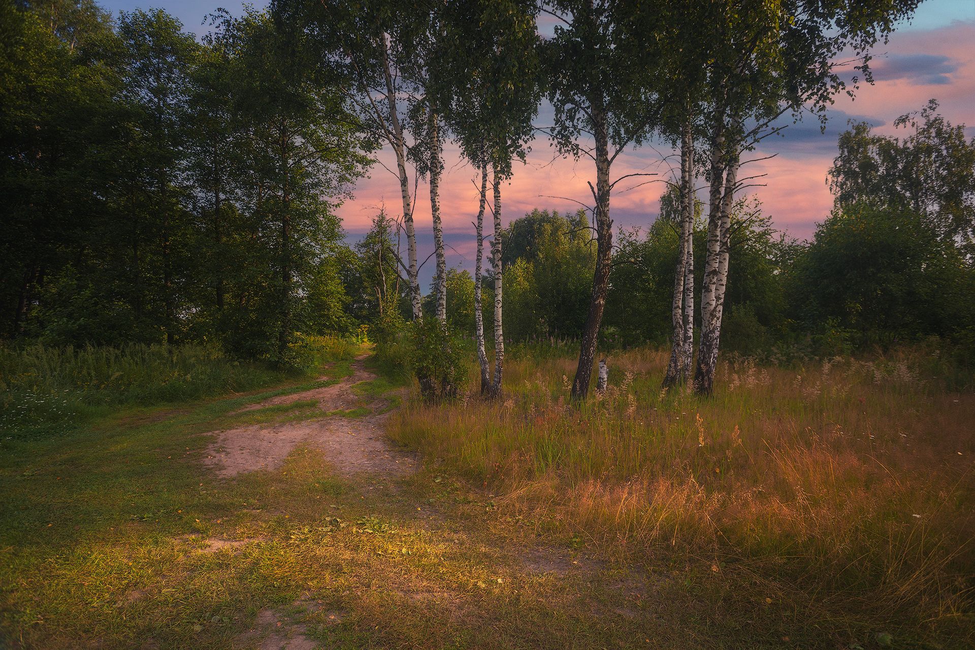 Летний вечер