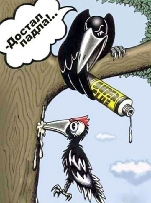 1645358241-9bfc9af73575f571c1db1a6e320db