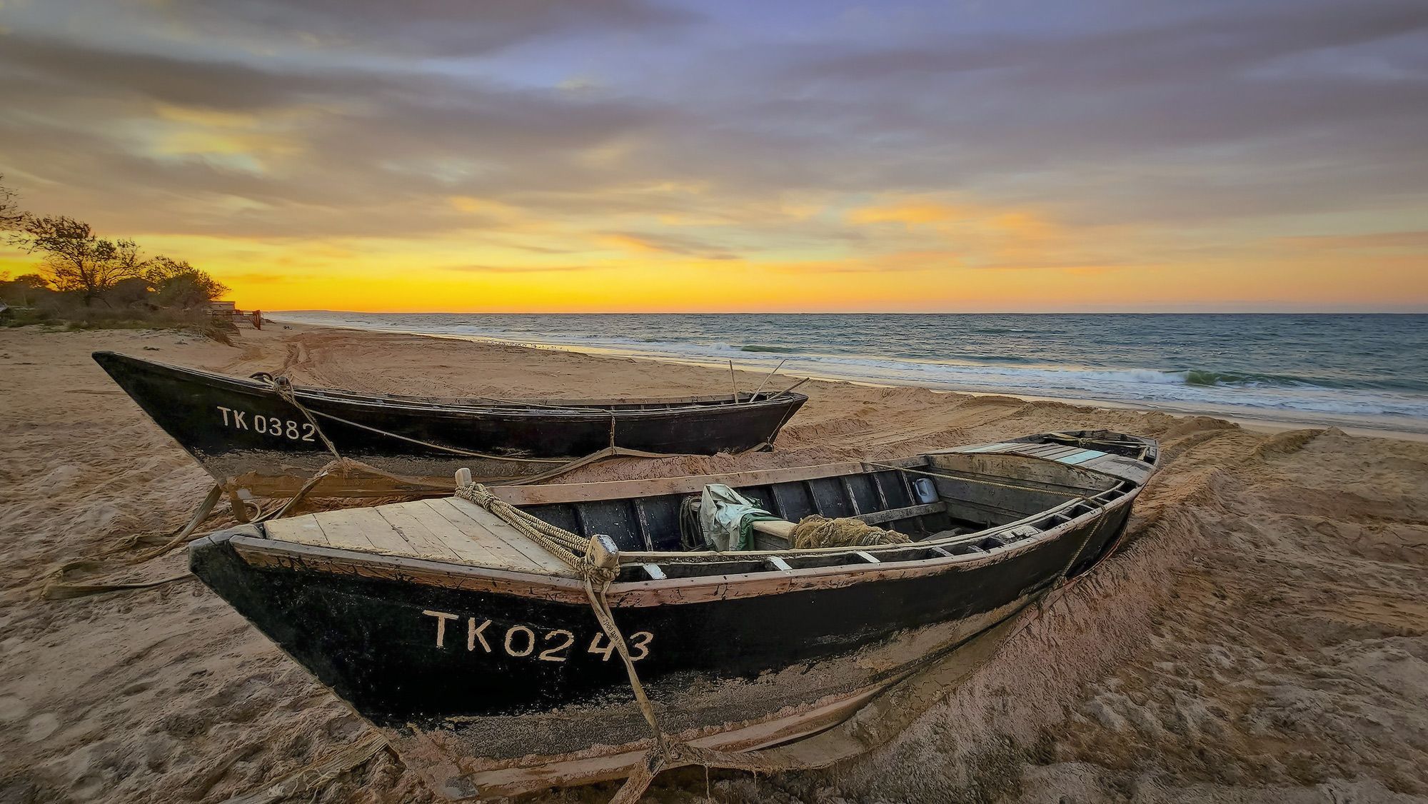 1767448354-9cbe0f072370c30563d9bf9244b31