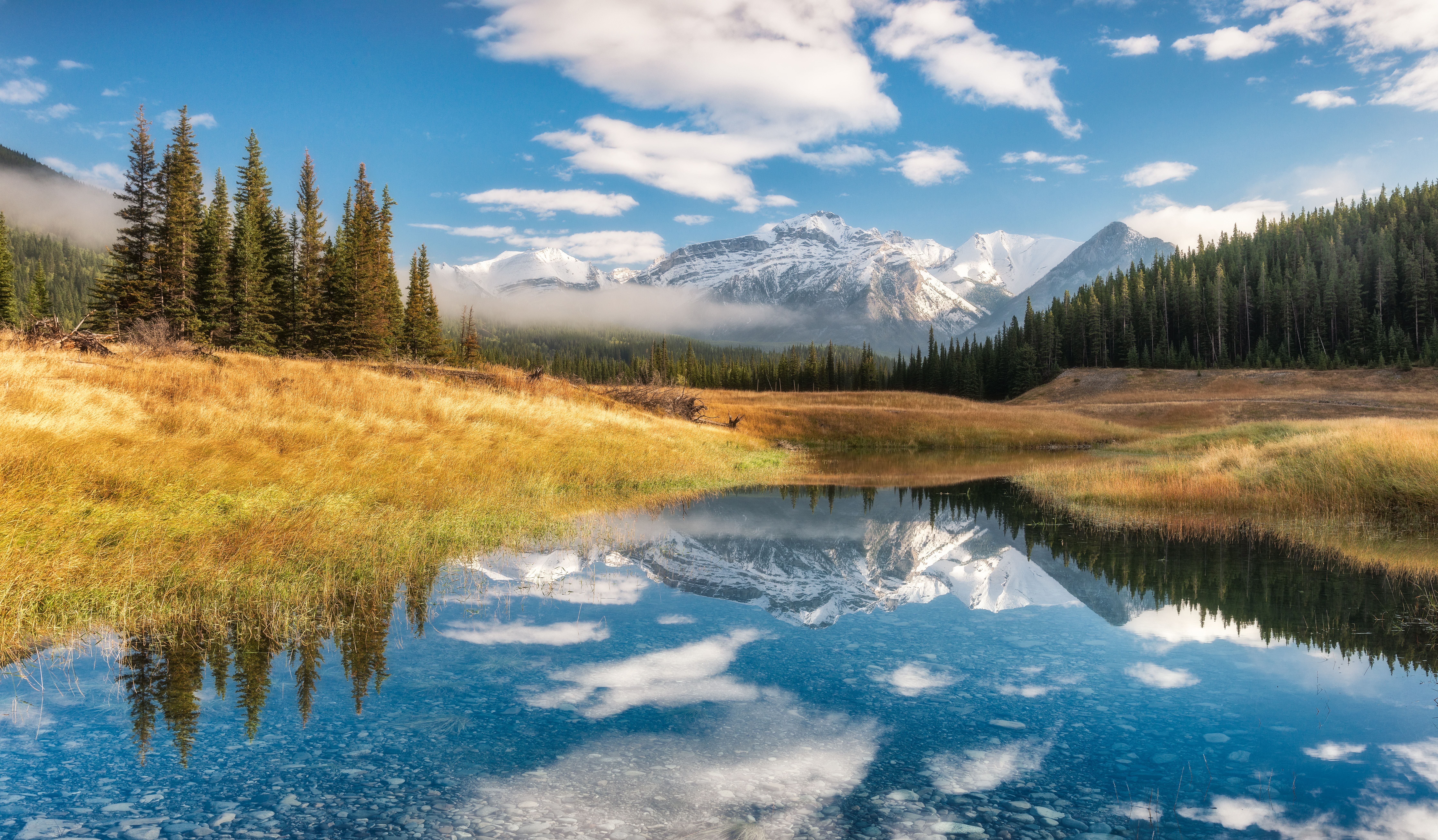 1766832283-a03a5125d1f880603b64496d68aee