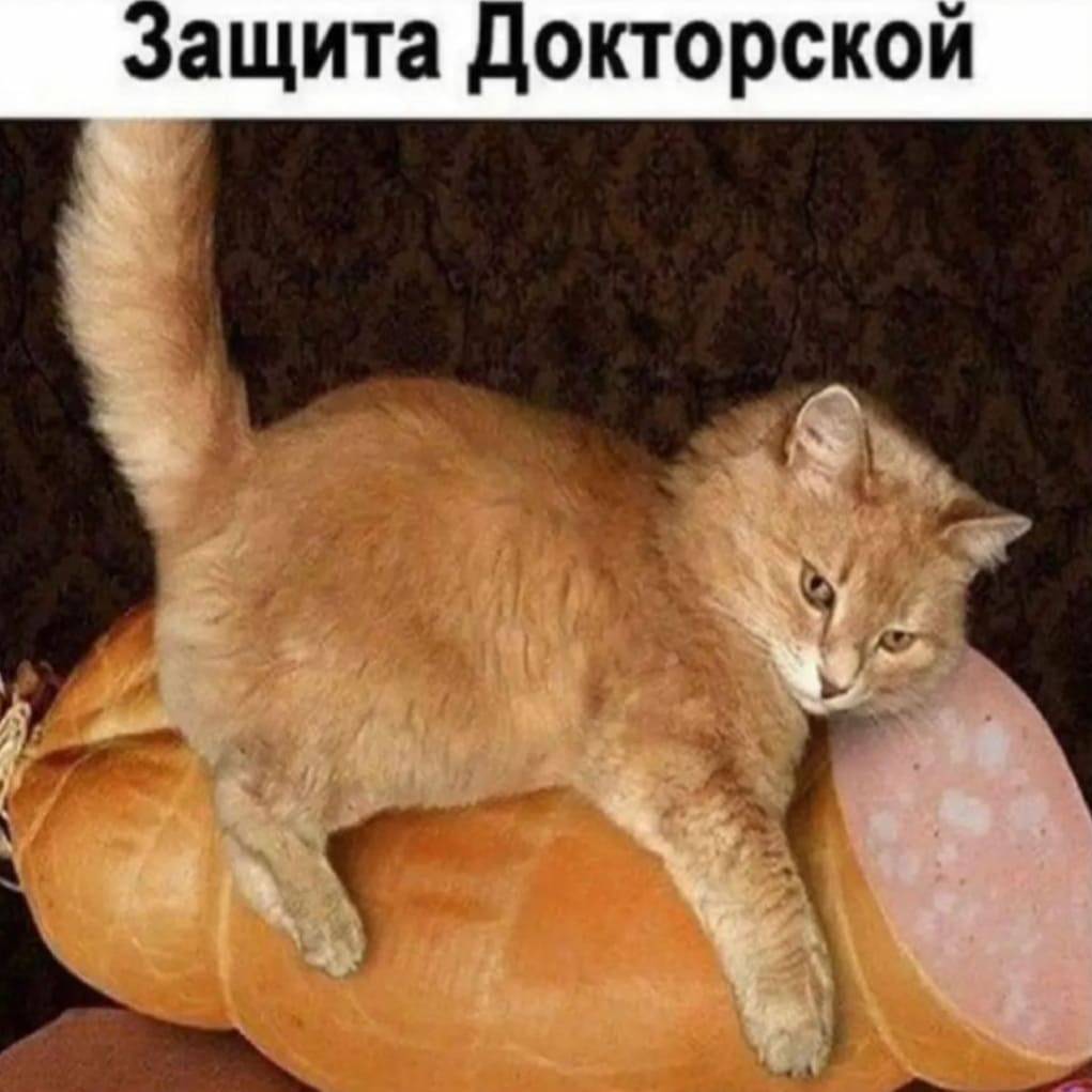 1644444748-a1dc04f90eba1e884aaba0ec937a0