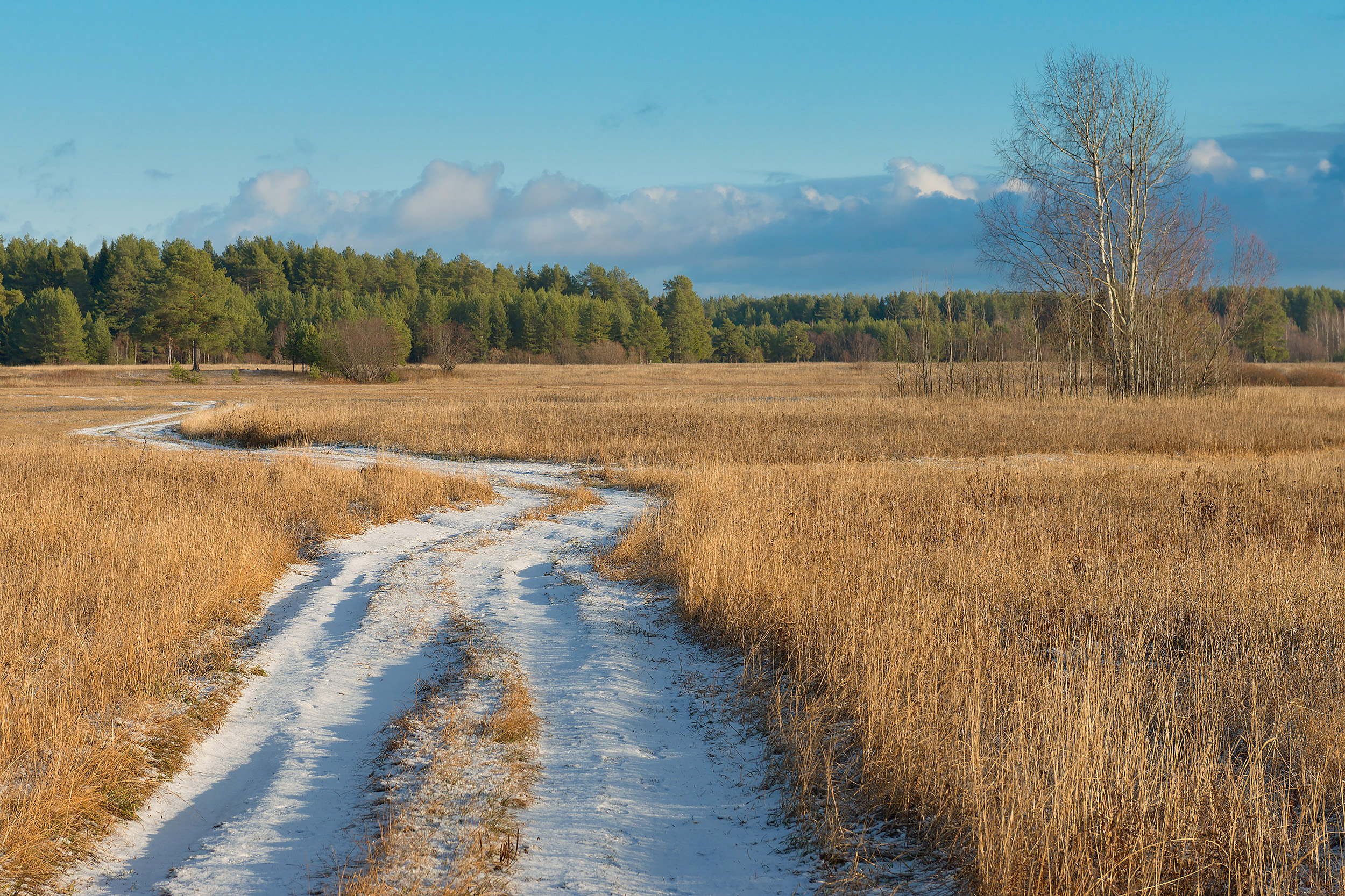 1636185565-a220d304f8facefcd2c8decc4b1a7