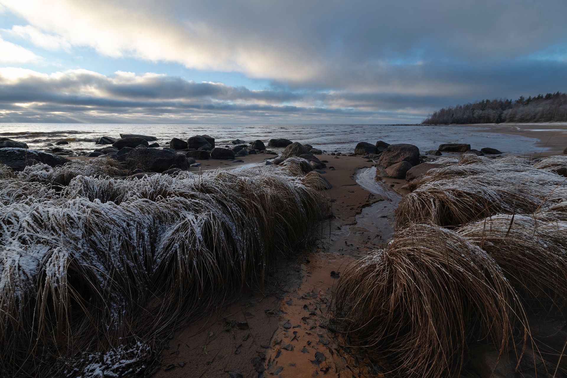 Берег Ладоги в предзимье