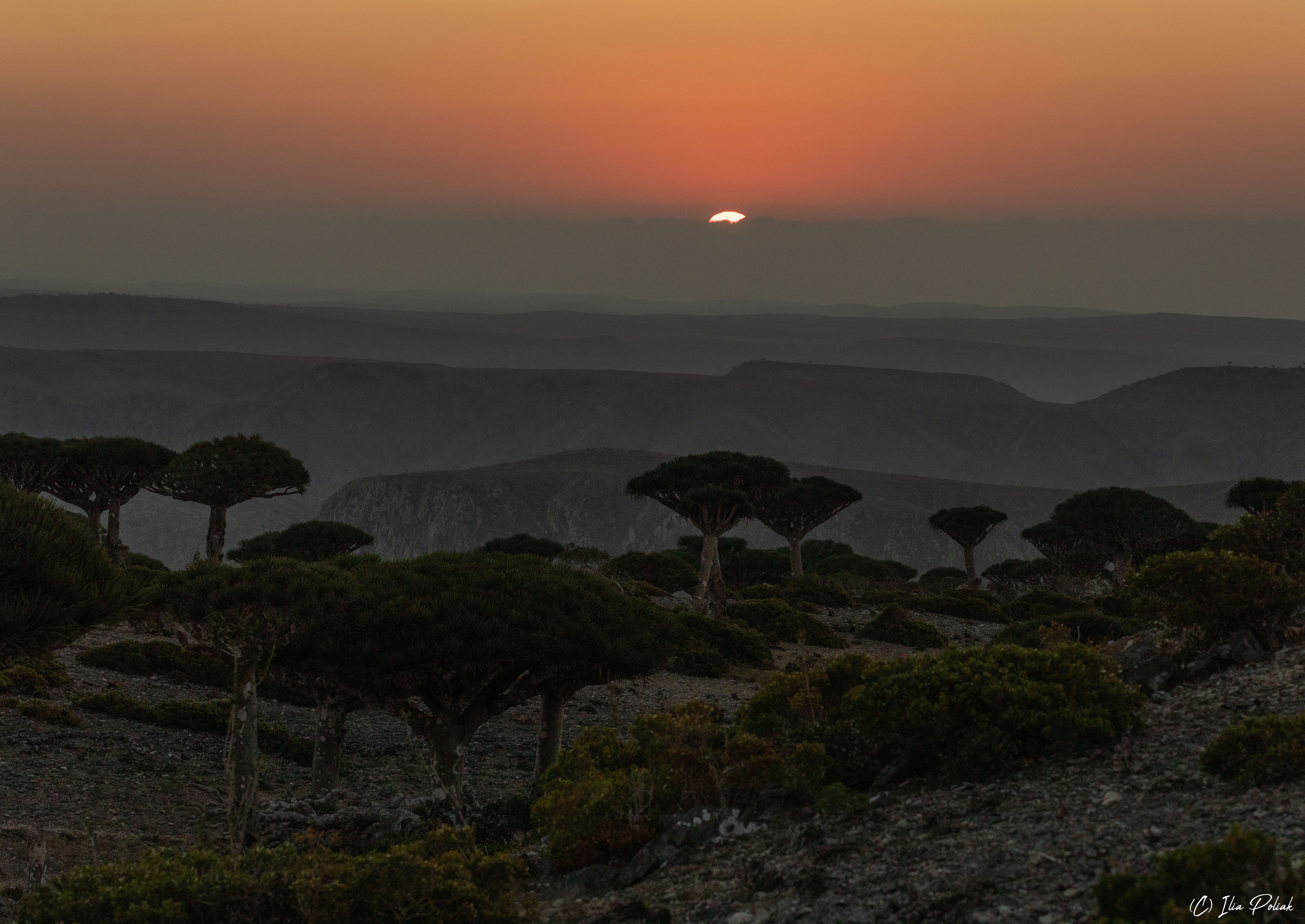 Здравствуй, солнышко...