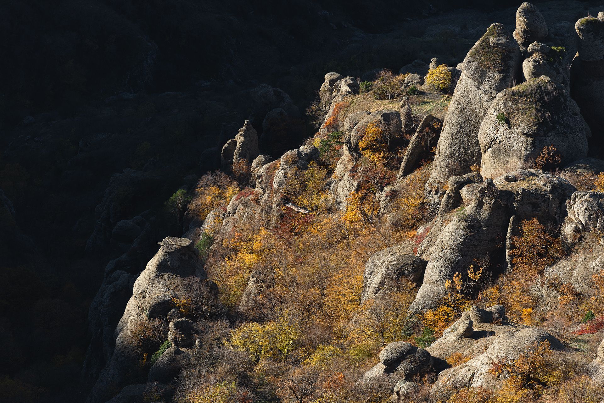 Полёт над Долиной Привидений
