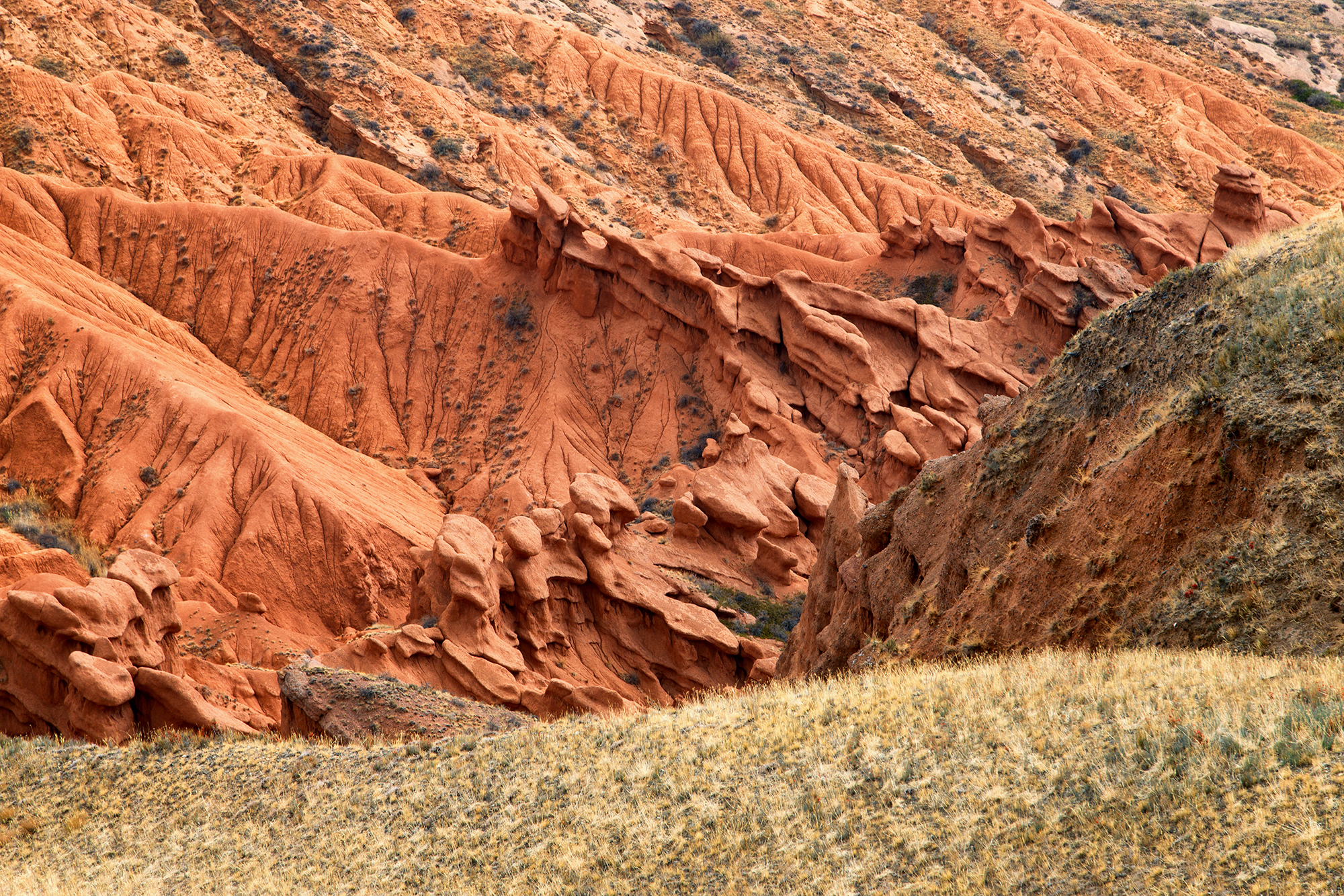 1665658454-aa4fbdc345a482e4809fa8c8d955a