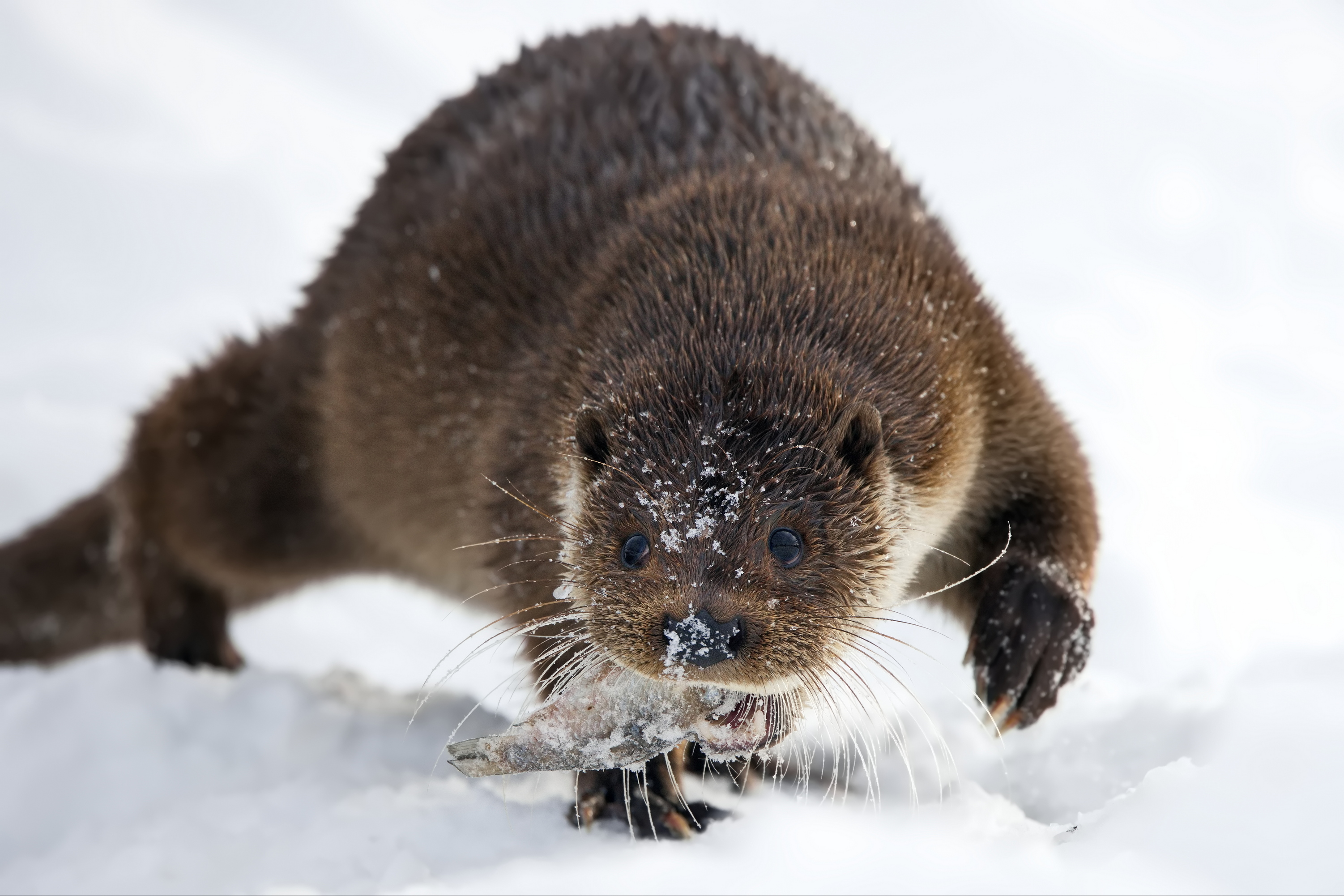 1690864403-ac2acd5eaffb2914ee638a79eb69d