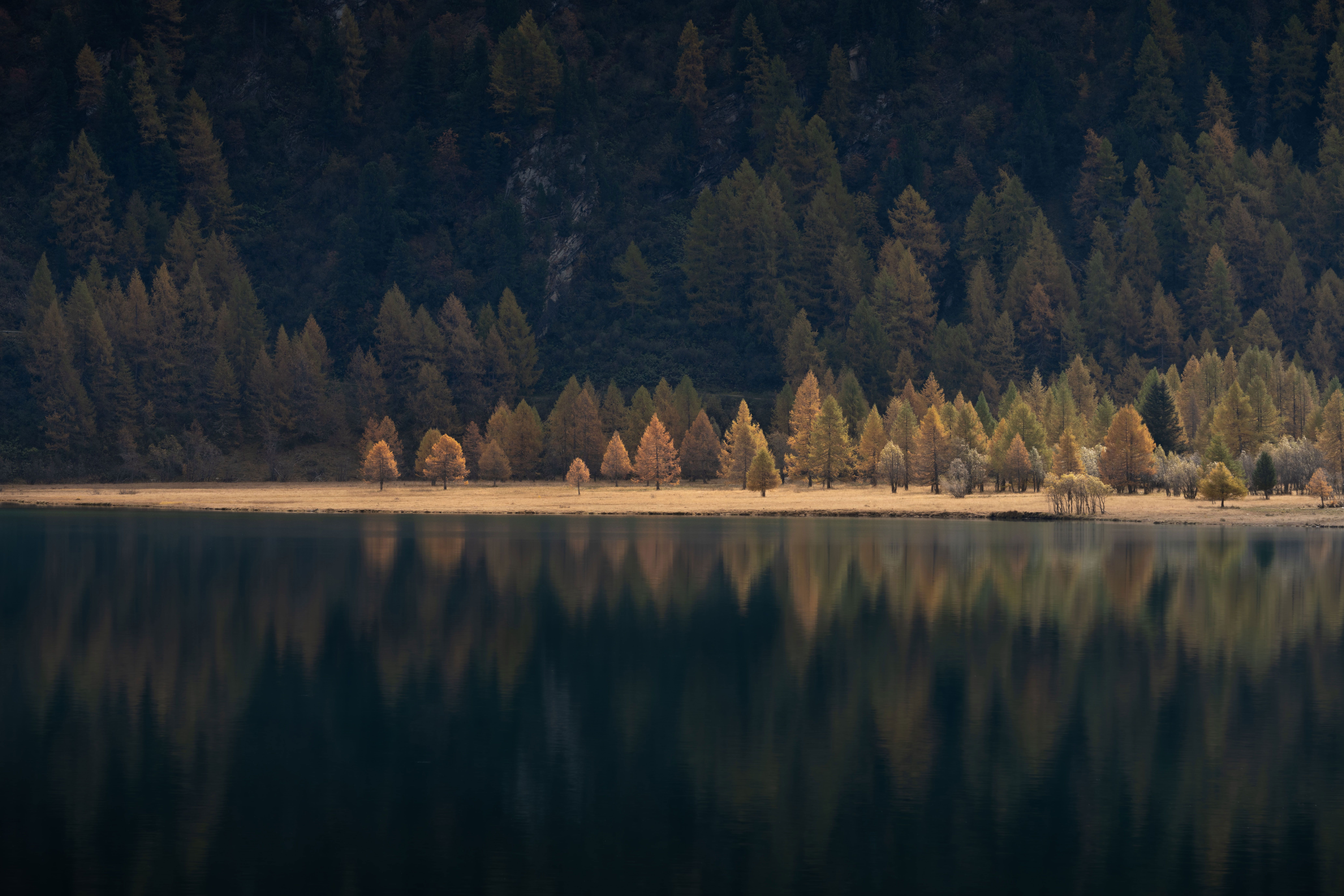 1766286343-ad8f2943ed9d572f87d24d0c03d58