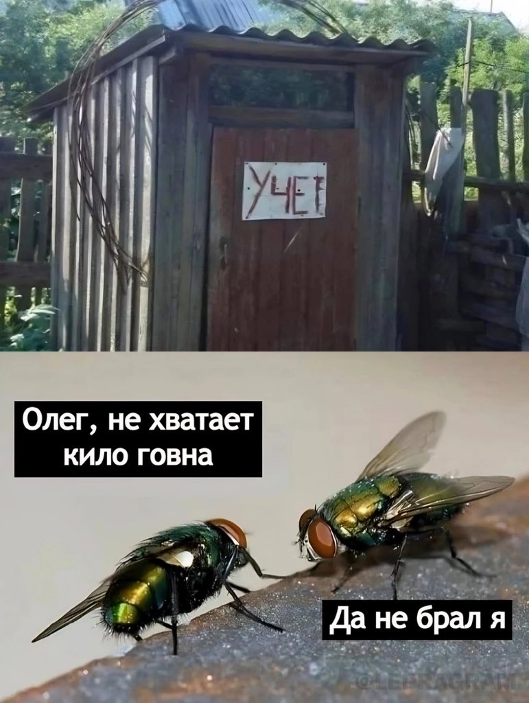 1674466259-ae77acc5264b2ce7d77f0117d2464