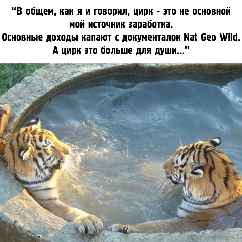 1637239062-afe1b29fede87386f04bc8309f098