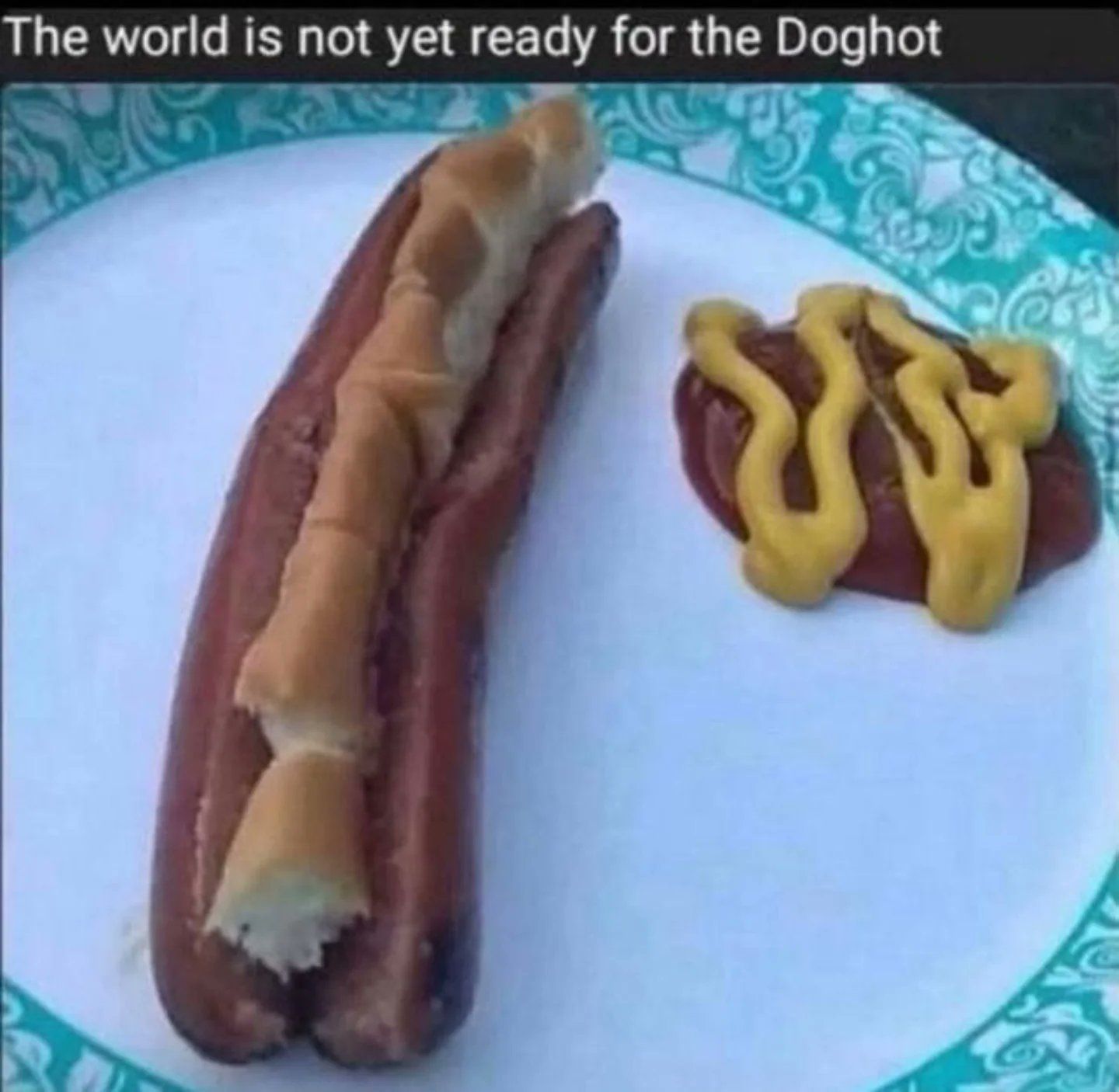 1770892973-b0b82976e206740d317011cdadd09