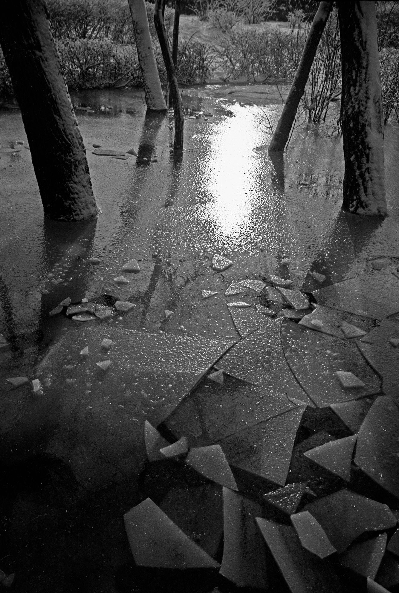 Зимнее солнце