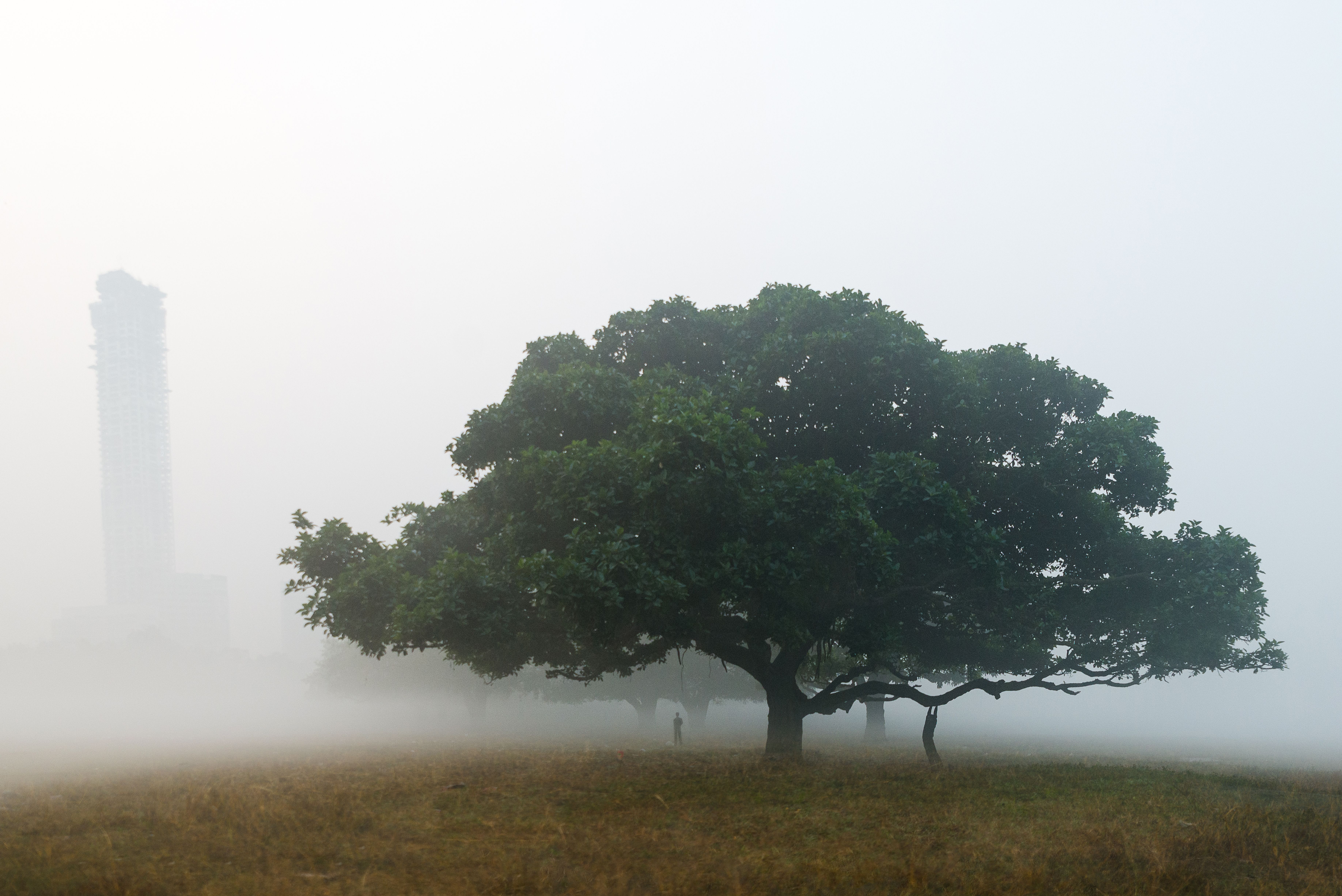 Winter Morning view at Kolkata, India
