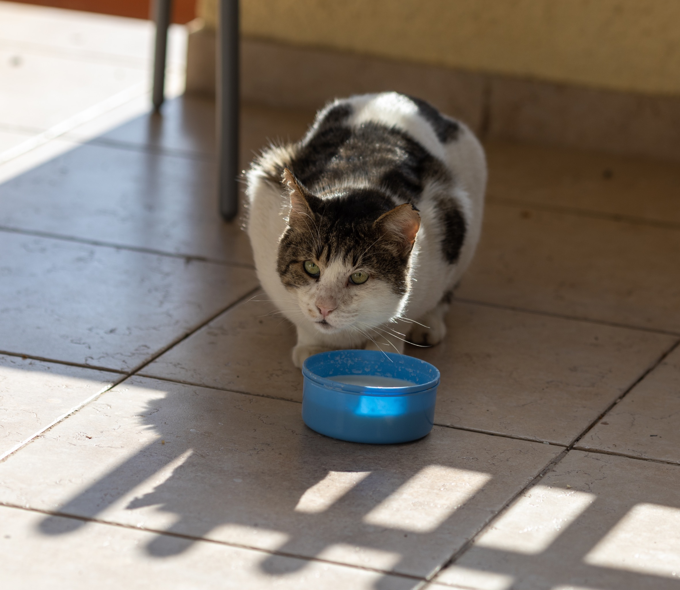 1752091300-b32dfa810052445f861b879453e18