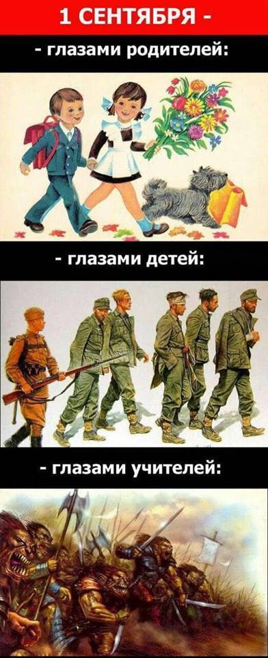 1504520795-b3a0038224d7de060afc585cd486c