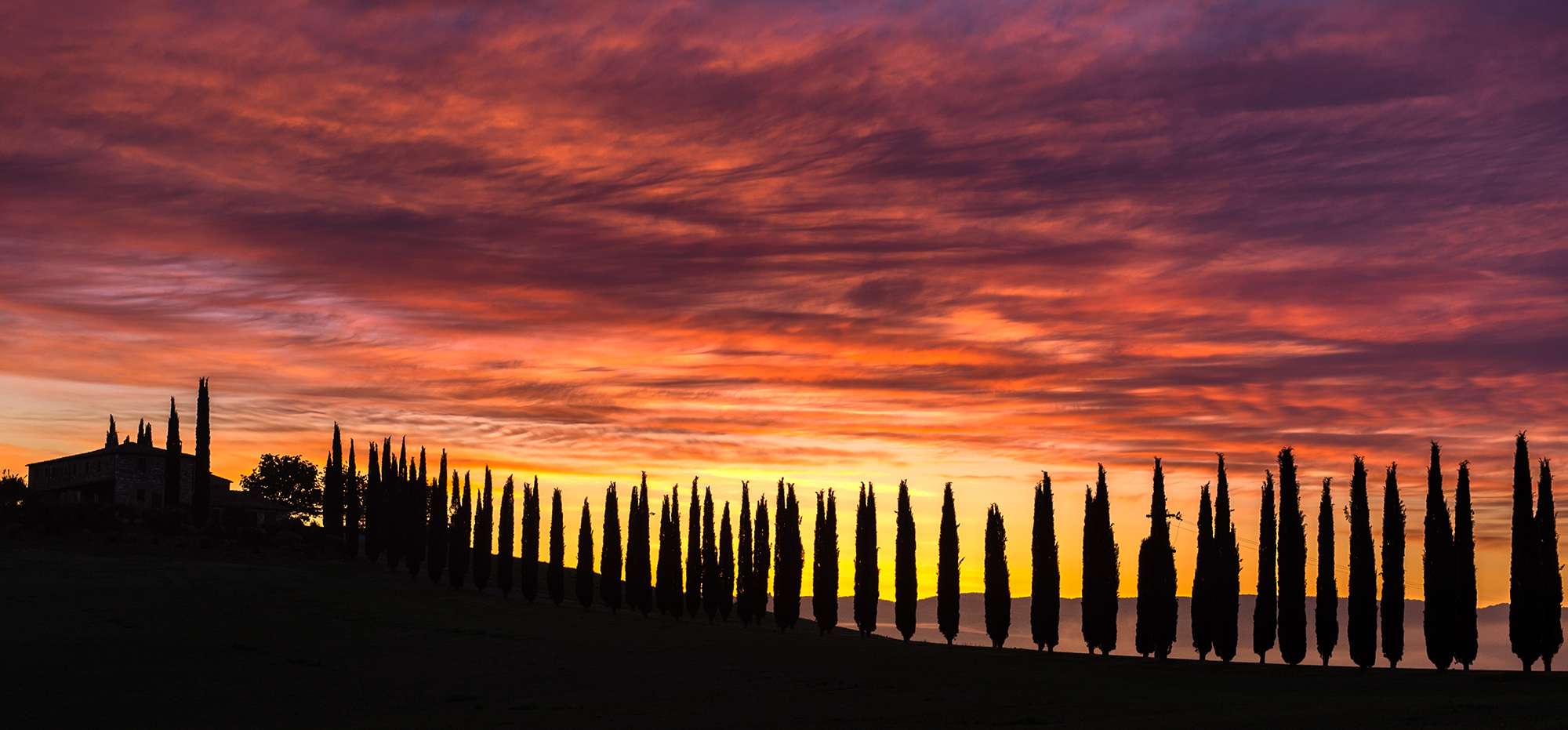 1636182862-b406ae0a7683bdff8a4f782f789fc