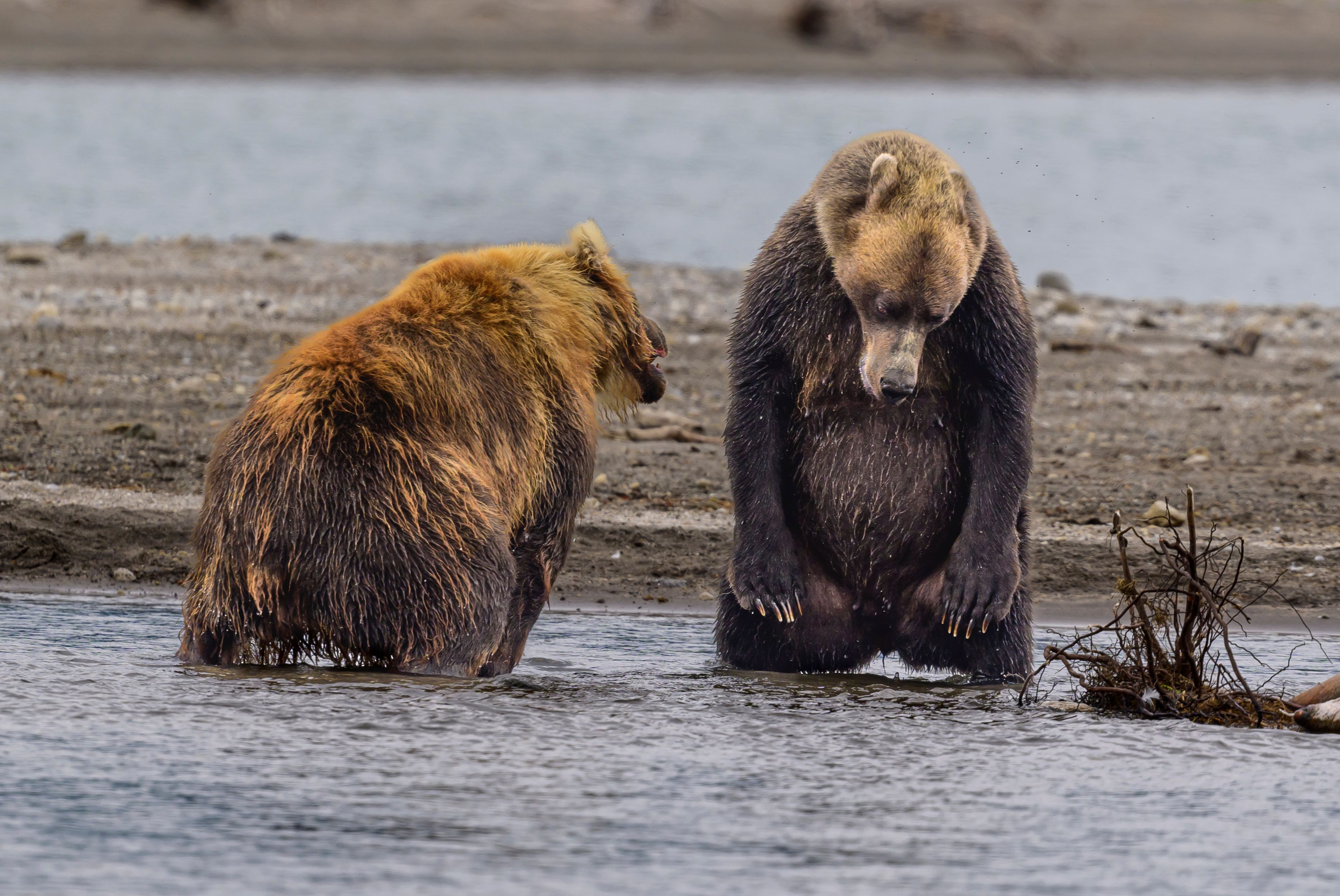 Простите, я больше не буду